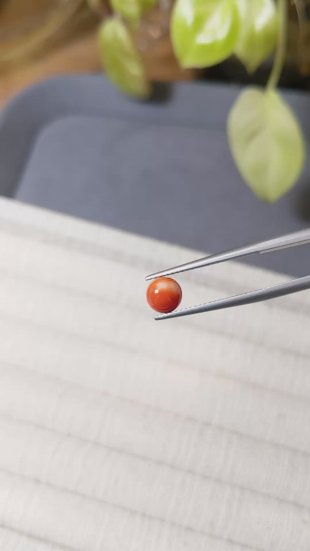 1.69 Ct. Salmon and White Coral from Italy Size Video