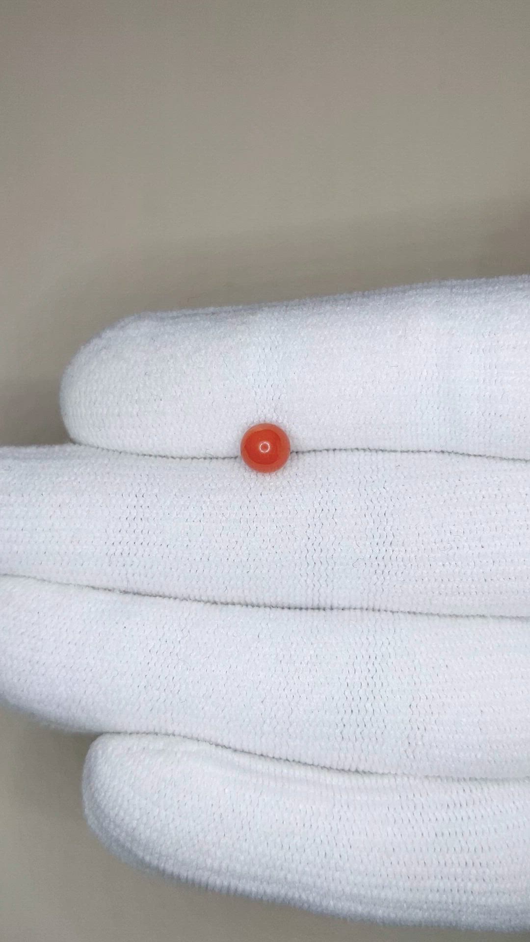 2.24 Ct. Salmon (Orange) Coral from Italy Size Video