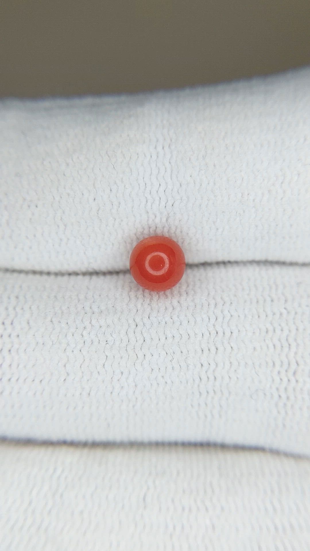 2.24 Ct. Salmon (Orange) Coral from Italy Size Video