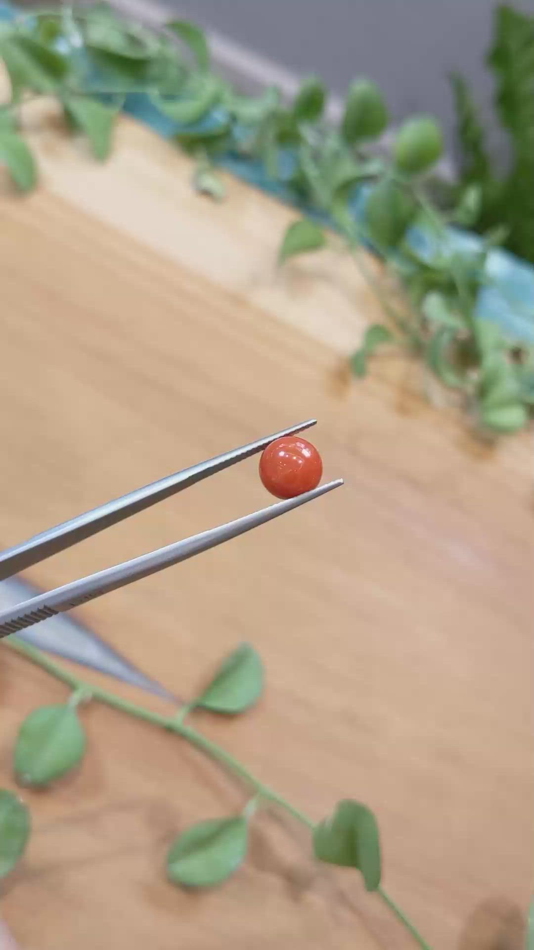 5.57 Ct. Coral from Italy Size Video