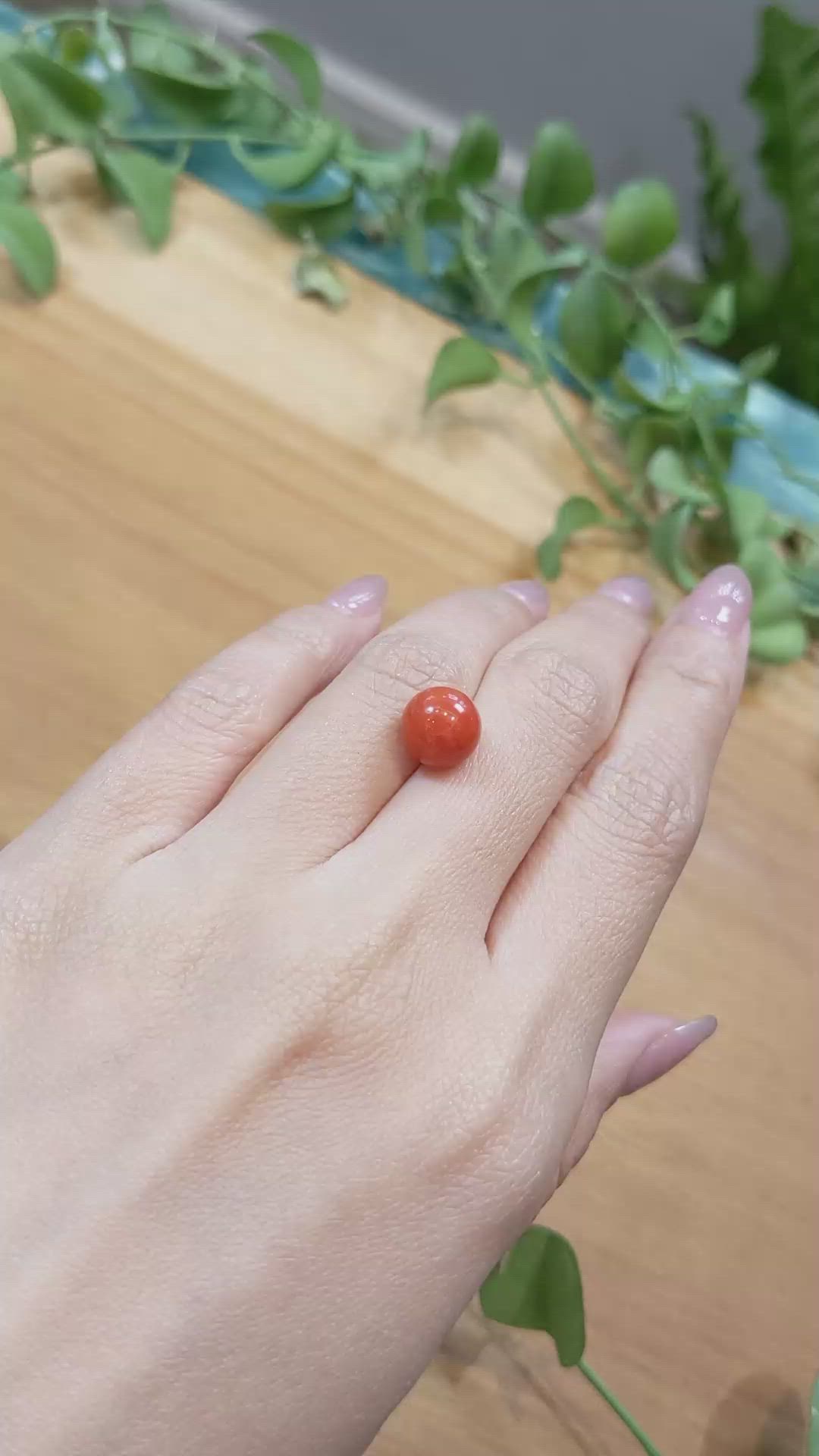 5.57 Ct. Coral from Italy Size Video