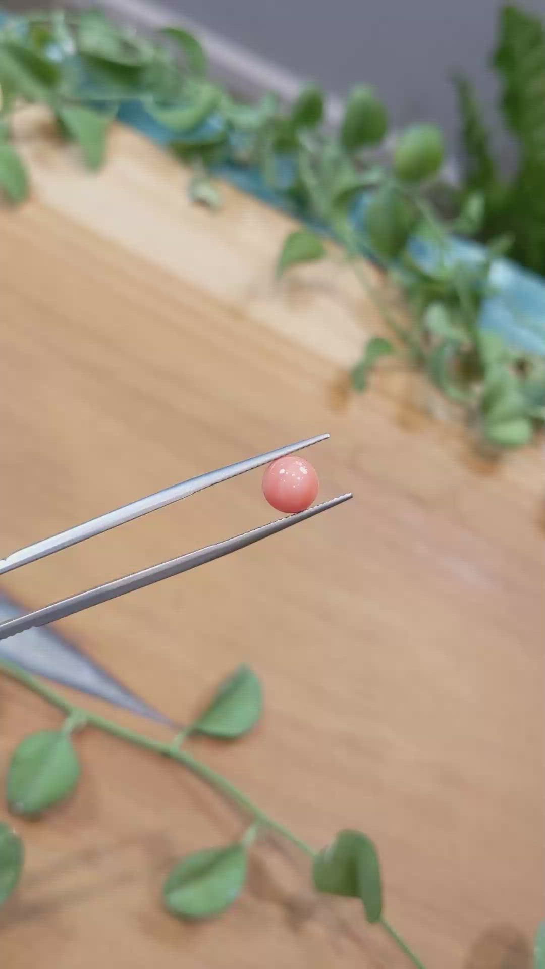 3.29 Ct. Coral from Italy Size Video