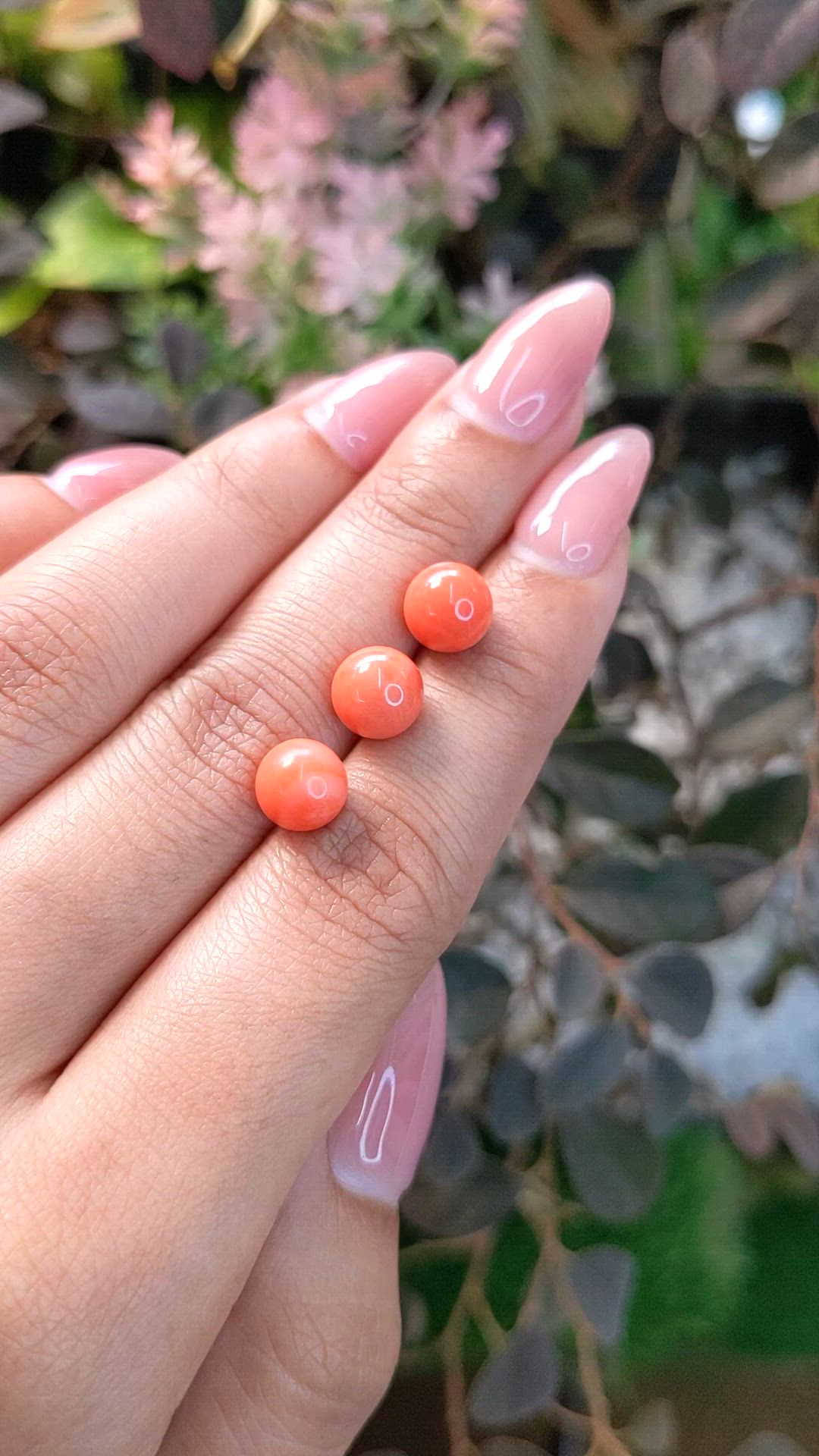 8.90 Ct. Coral from Italy Size Video