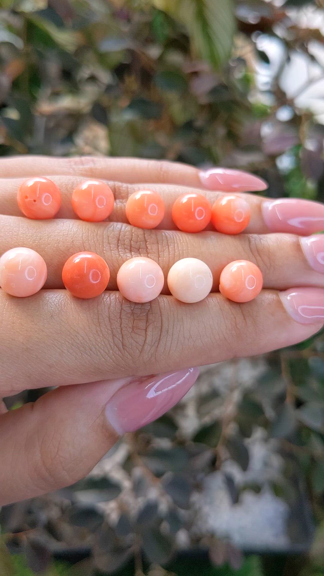 74.39 Ct. Coral from Italy Size Video