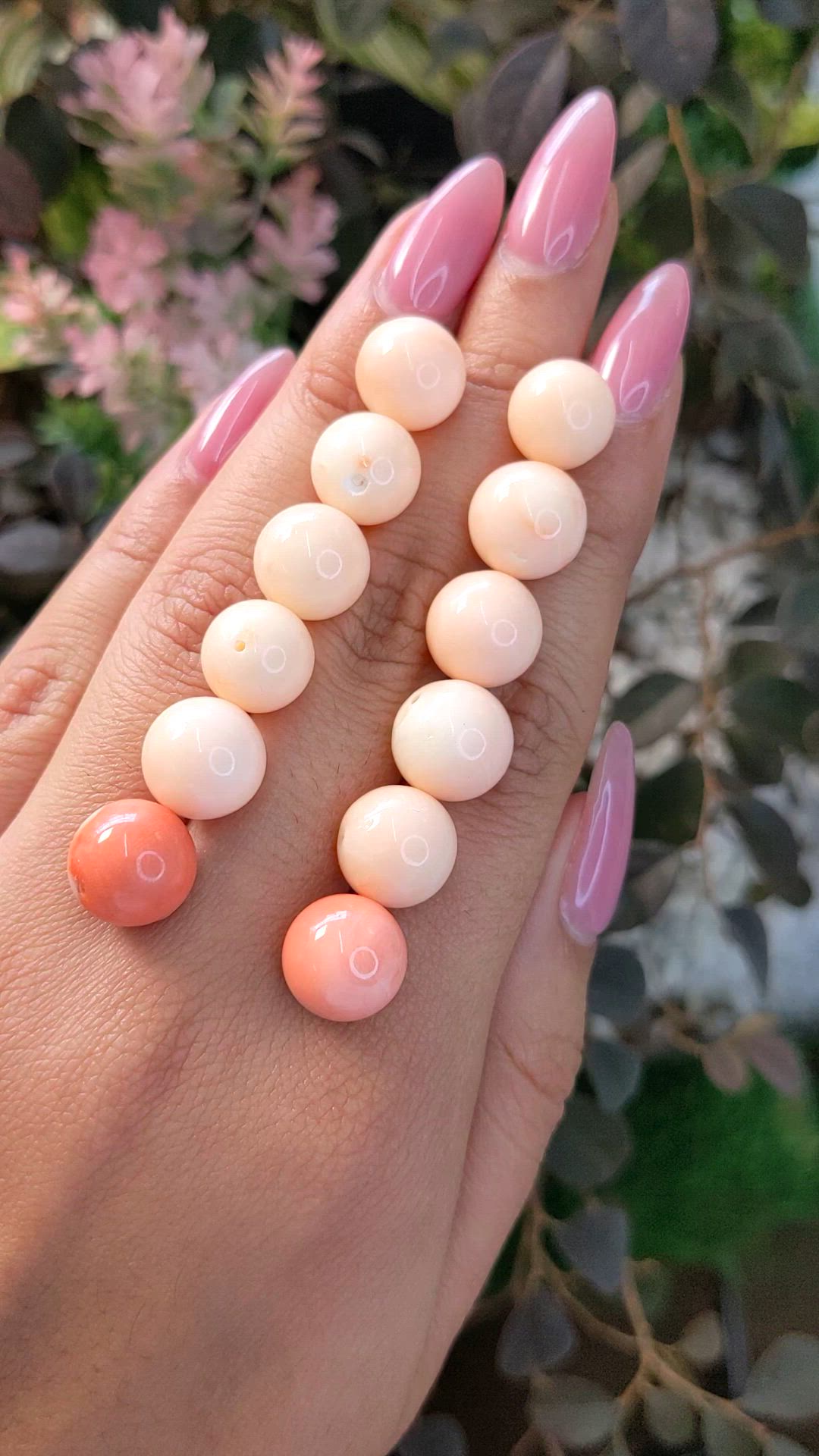 112.25 Ct. Coral from Italy Size Video