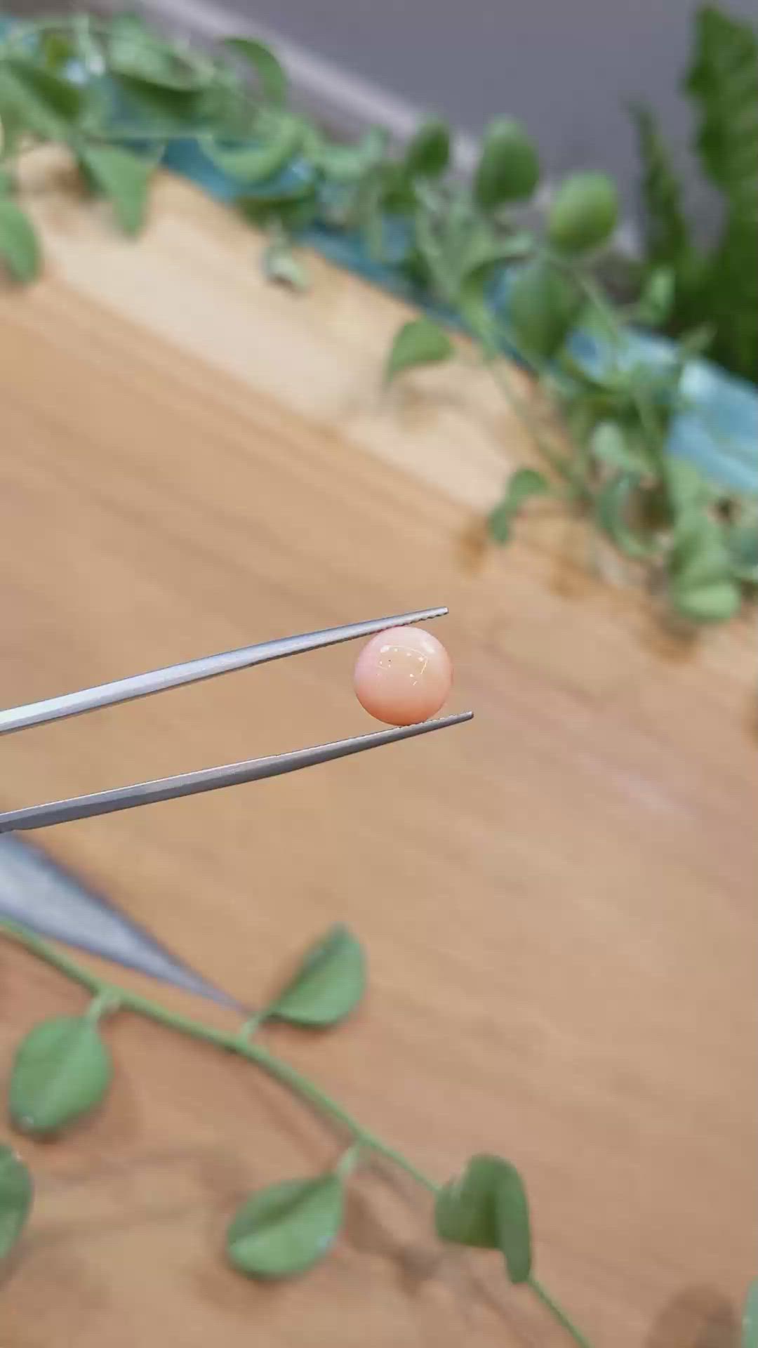 4.47 Ct. Coral from Italy Size Video