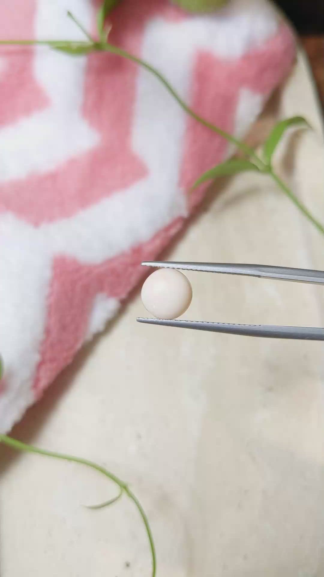 2.56 Ct. Cabochon Coral from Italy Size Video