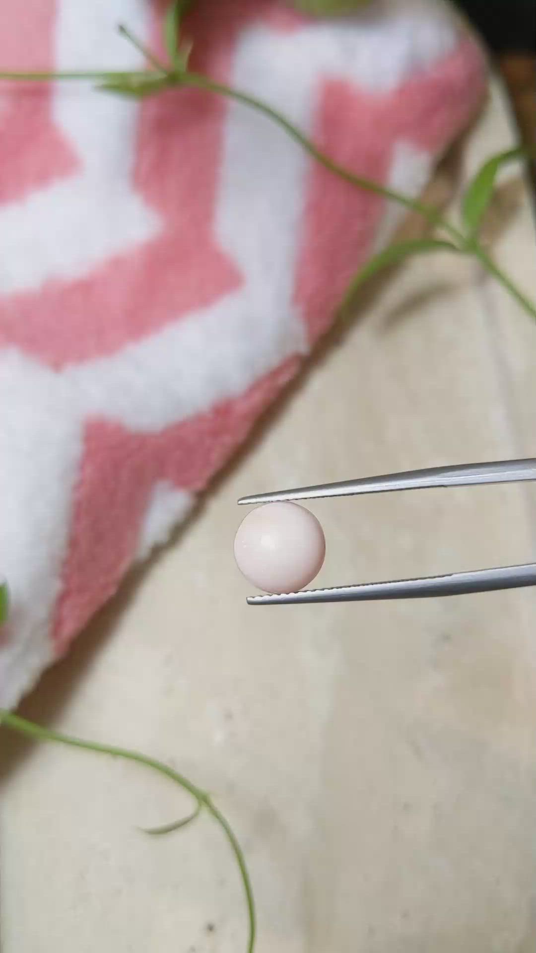 3.21 Ct. Cabochon Coral from Italy Size Video