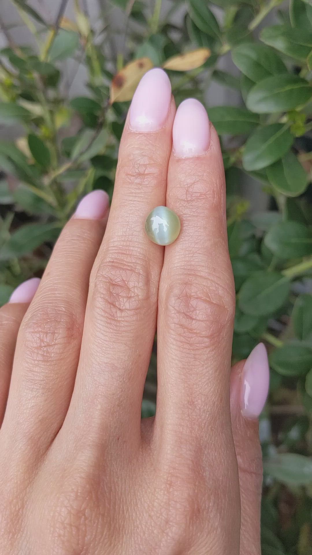 5.07 Ct. Green Cabochon Chrysoberyl from Ceylon (Sri Lanka) Size Video