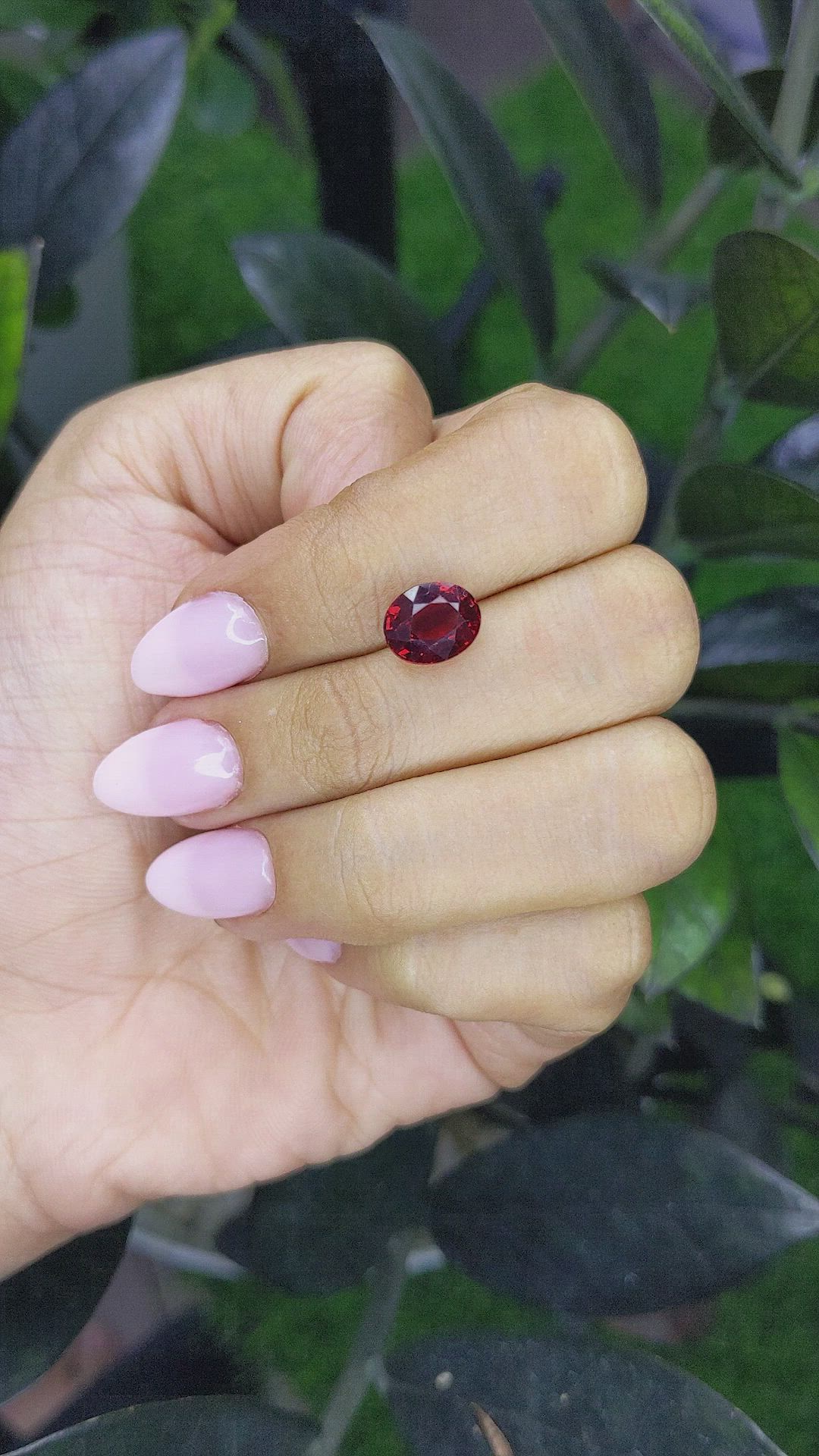 3.30 Ct. Garnet from Ceylon (Sri Lanka) Size Video