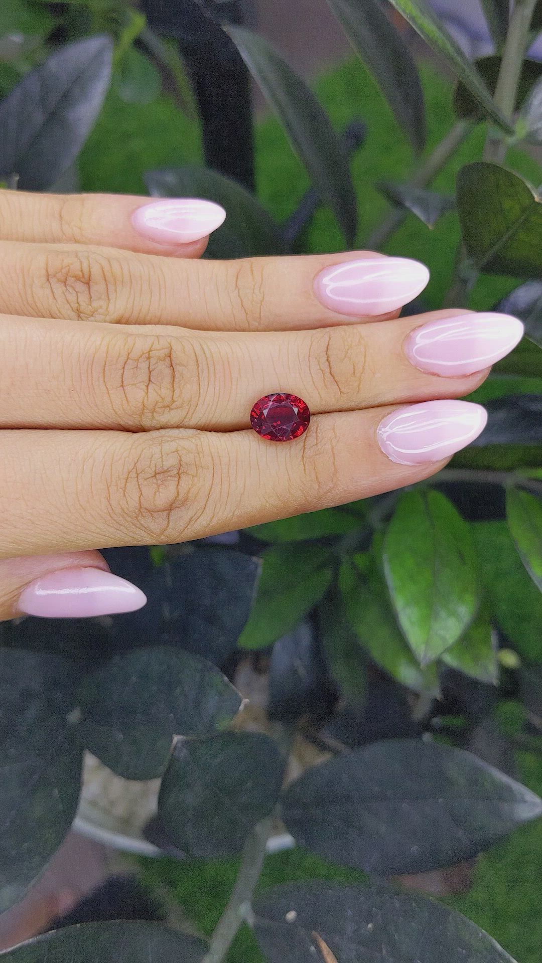 3.30 Ct. Garnet from Ceylon (Sri Lanka) Size Video
