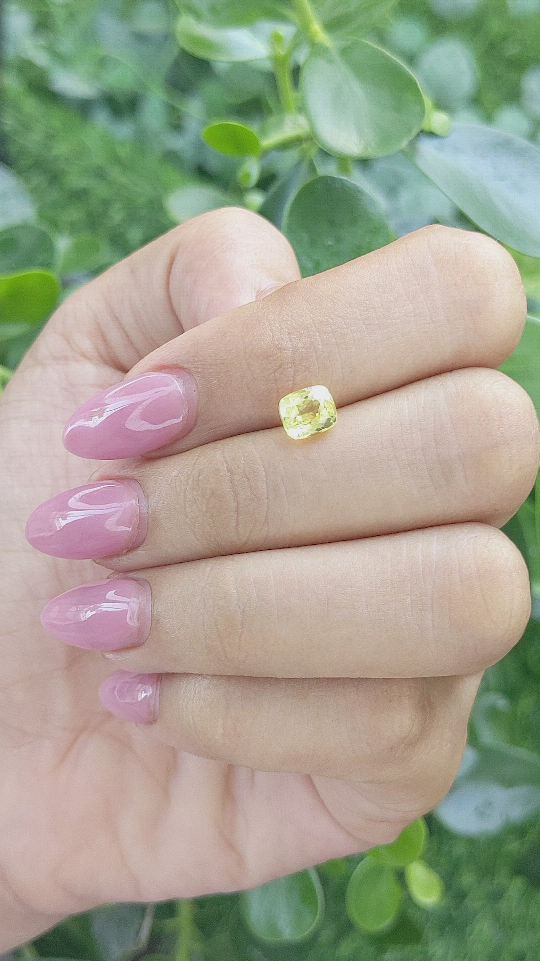 1.52 Ct. Chrysoberyl from Ceylon (Sri Lanka) Size Video