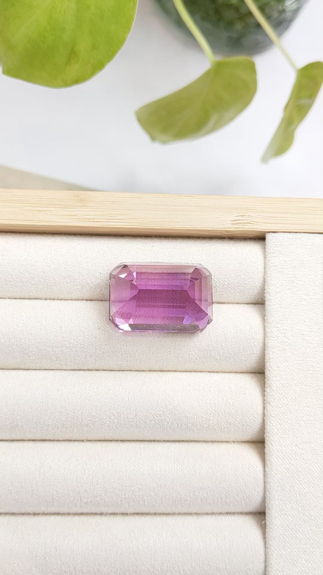 42.67 Ct. Kunzite from Afghanistan Size Video