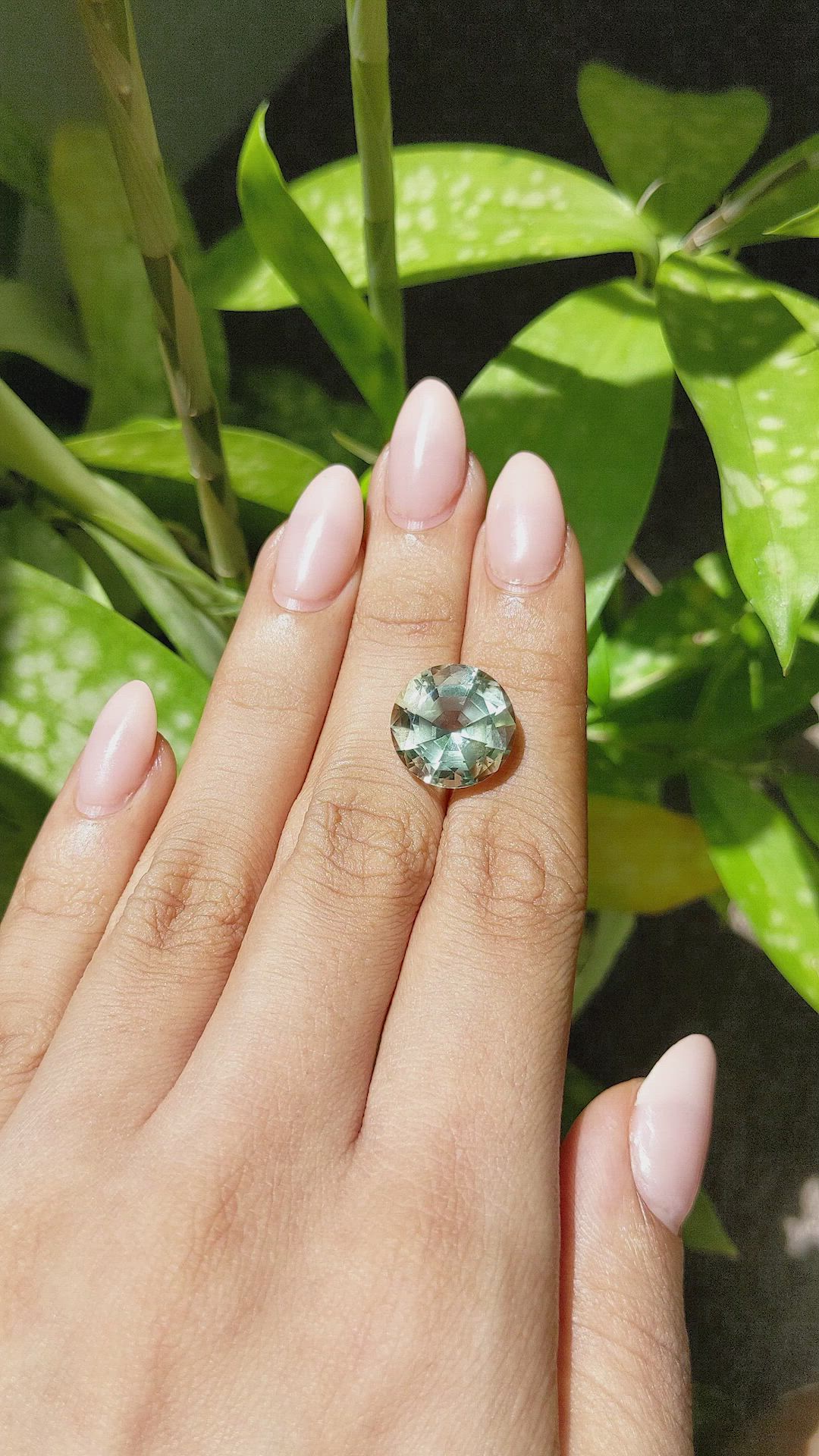 8.07 Ct. Prasiolite from Brazil Size Video