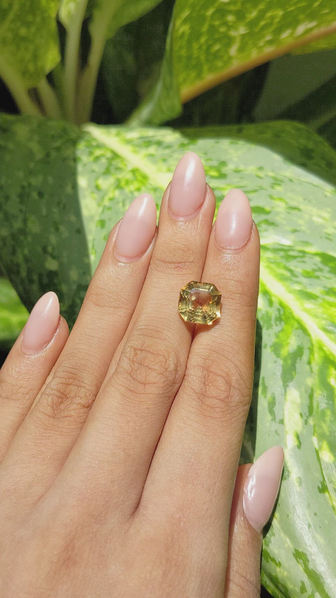 4.85 Ct. Citrine from Ceylon (Sri Lanka) Size Video