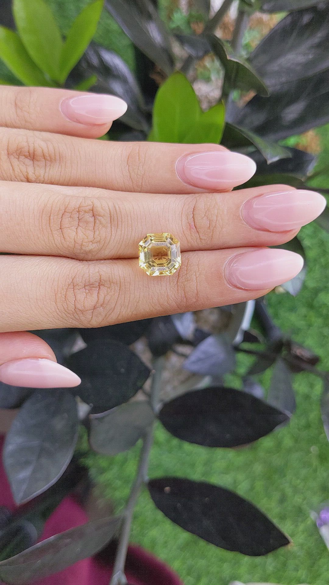 4.85 Ct. Citrine from Ceylon (Sri Lanka) Size Video