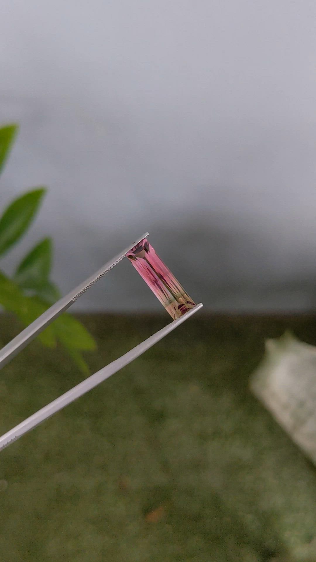 4.45 Ct. Multi Color Tourmaline from Mozambique Size Video