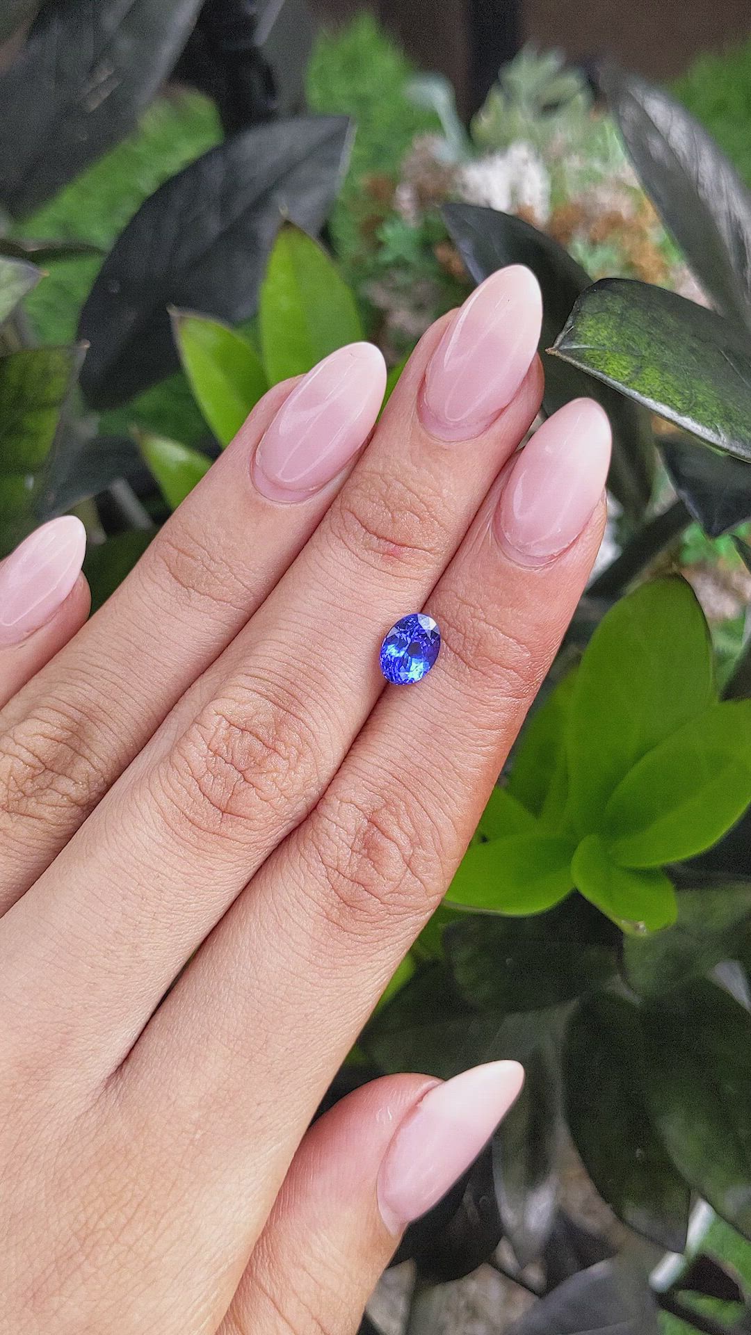 1.41 Ct. Tanzanite from Tanzania Size Video