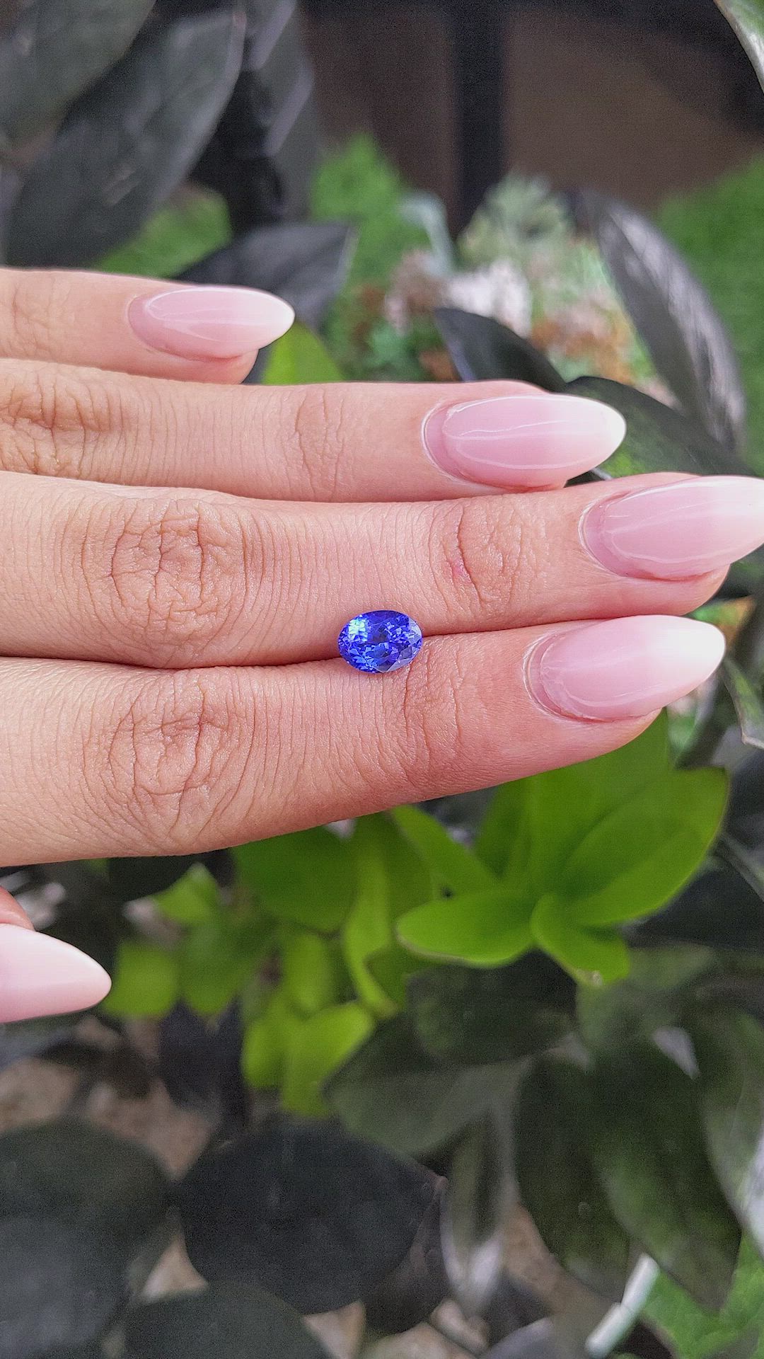 1.41 Ct. Tanzanite from Tanzania Size Video