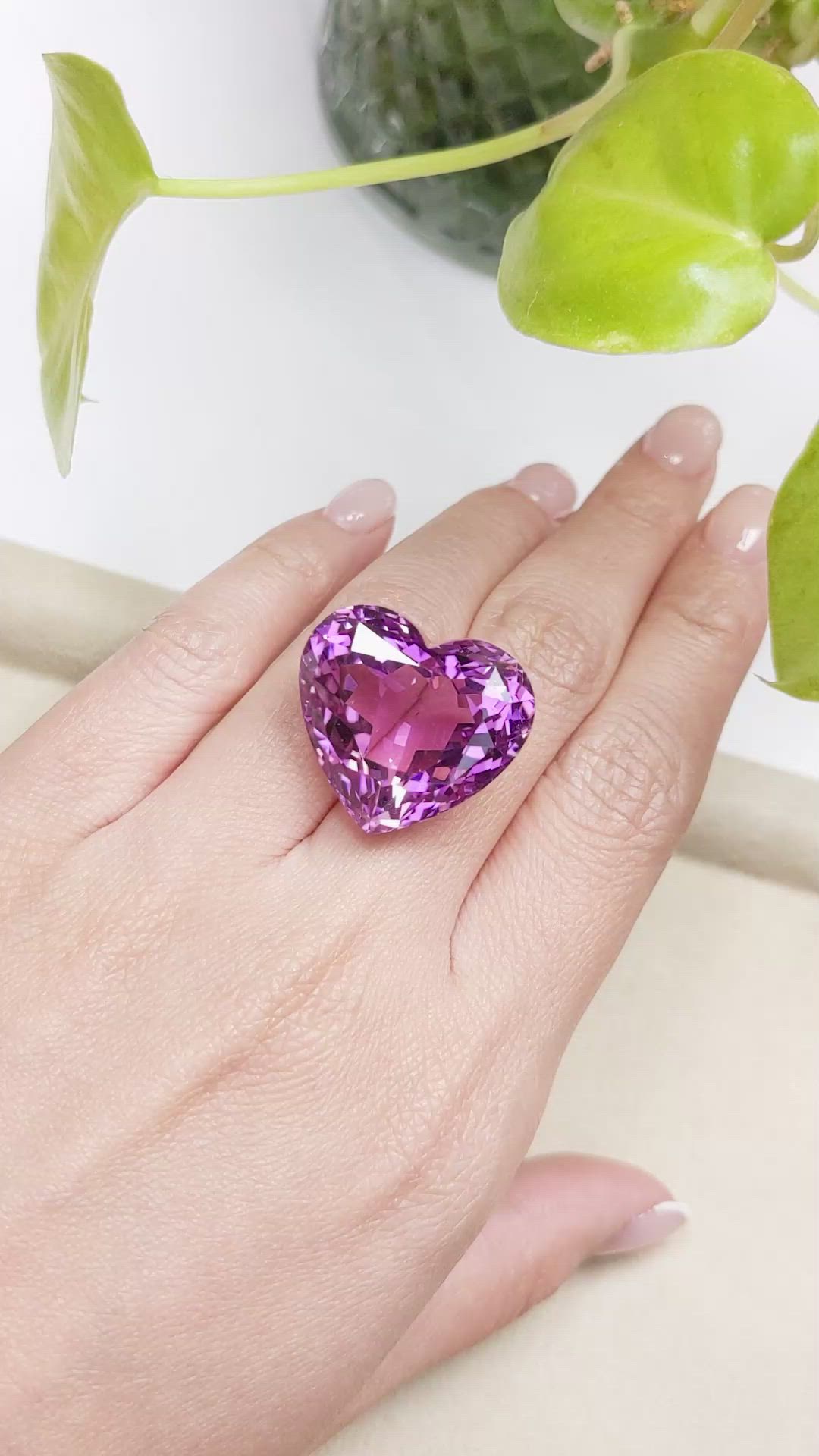 56.41 Ct. Kunzite from Afghanistan Size Video