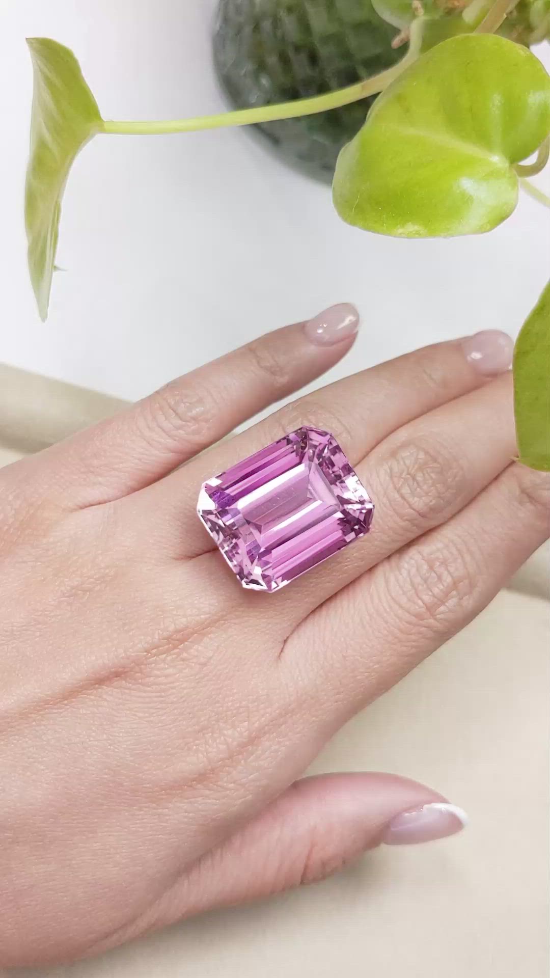 54.72 Ct. Kunzite from Afghanistan Size Video