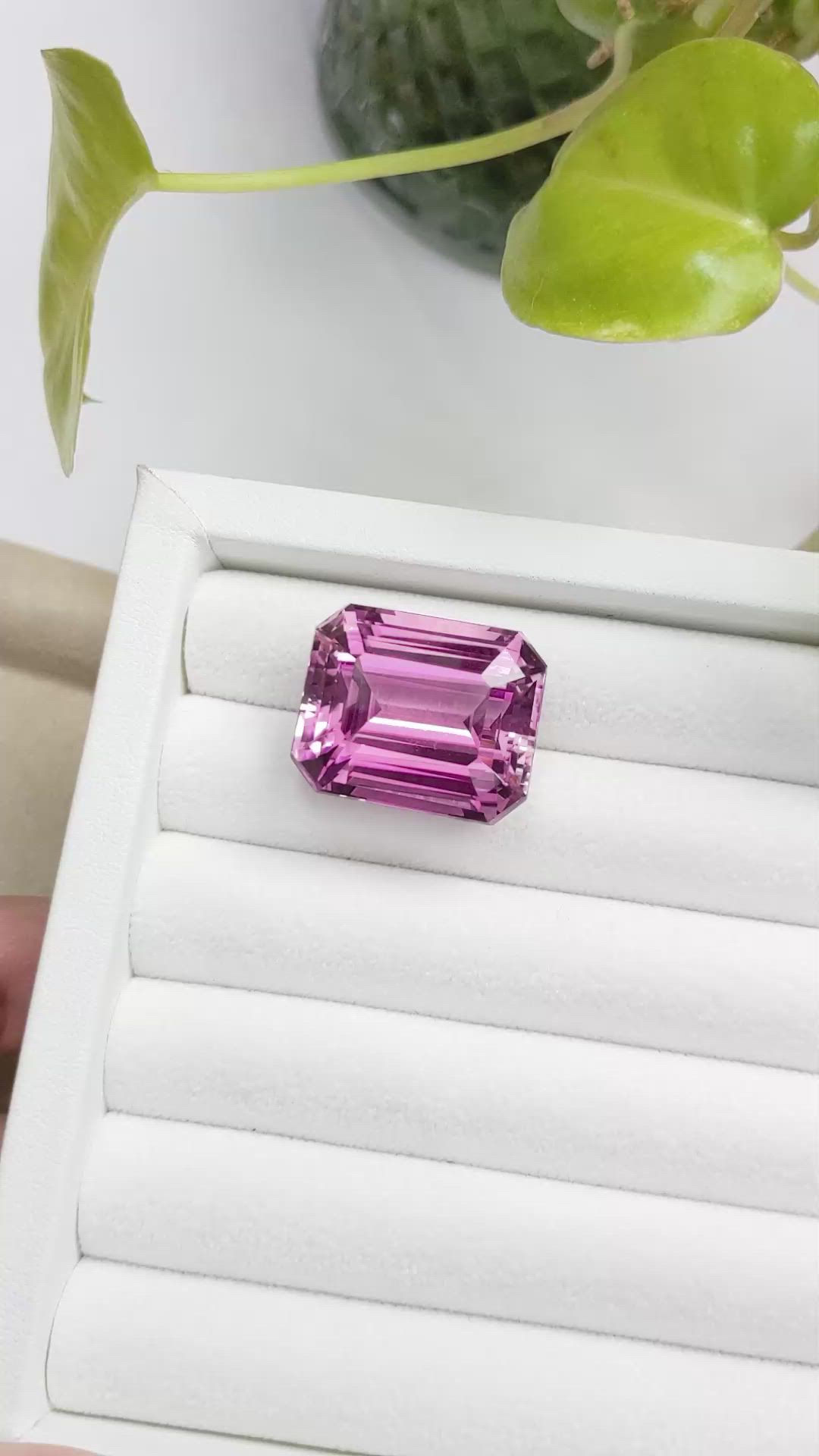 54.72 Ct. Kunzite from Afghanistan Size Video