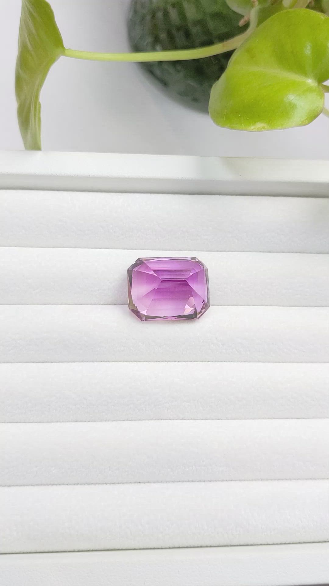 31.15 Ct. Kunzite from Afghanistan Size Video