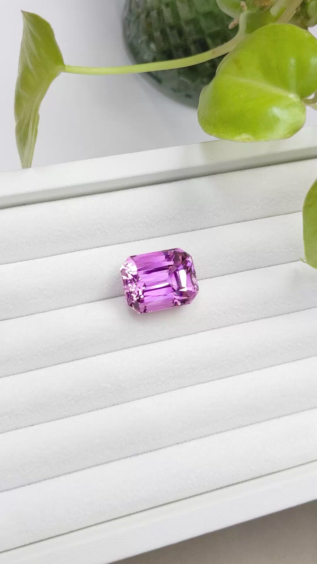 31.15 Ct. Kunzite from Afghanistan Size Video