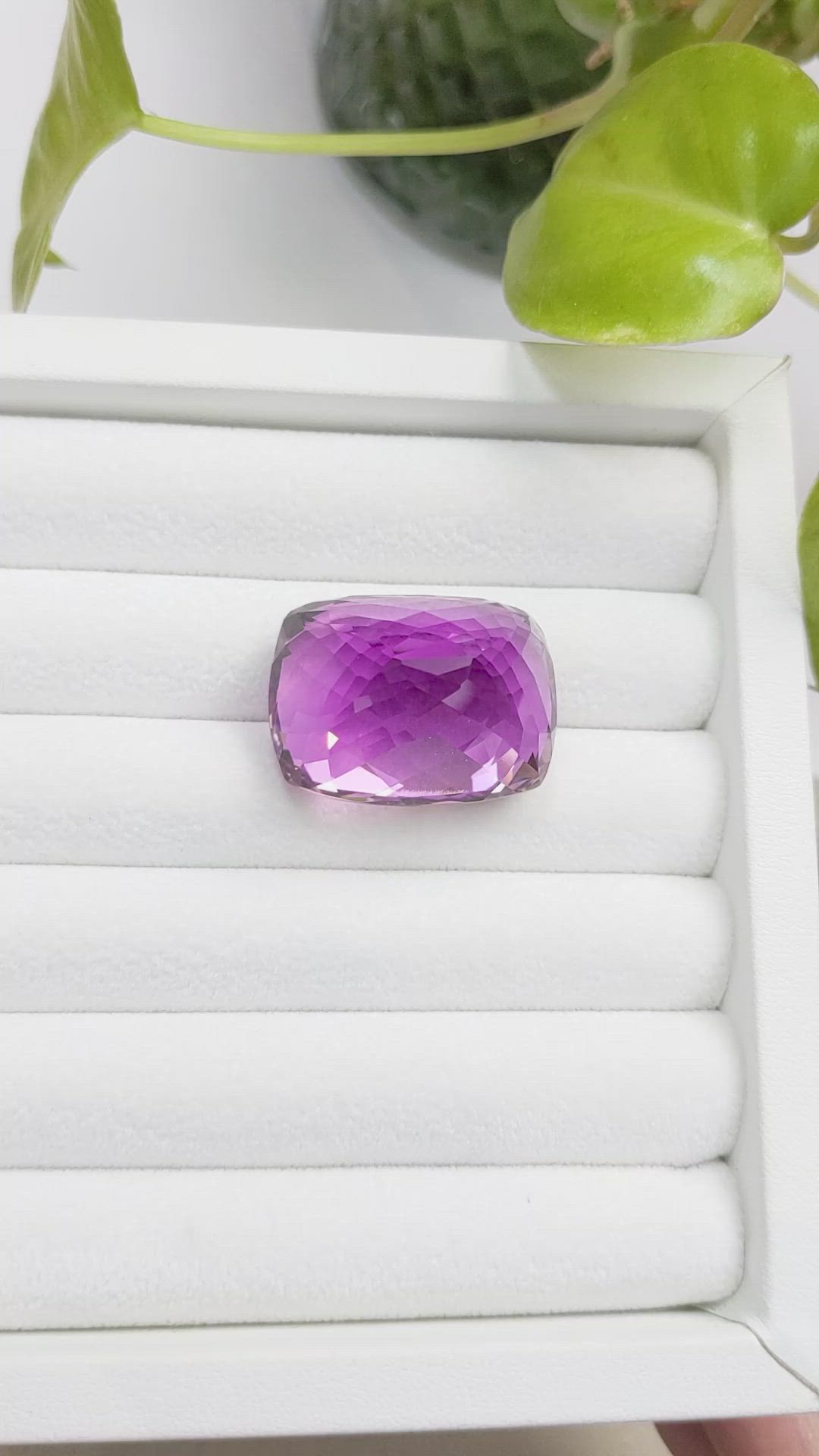 81.62 Ct. Kunzite from Afghanistan Size Video
