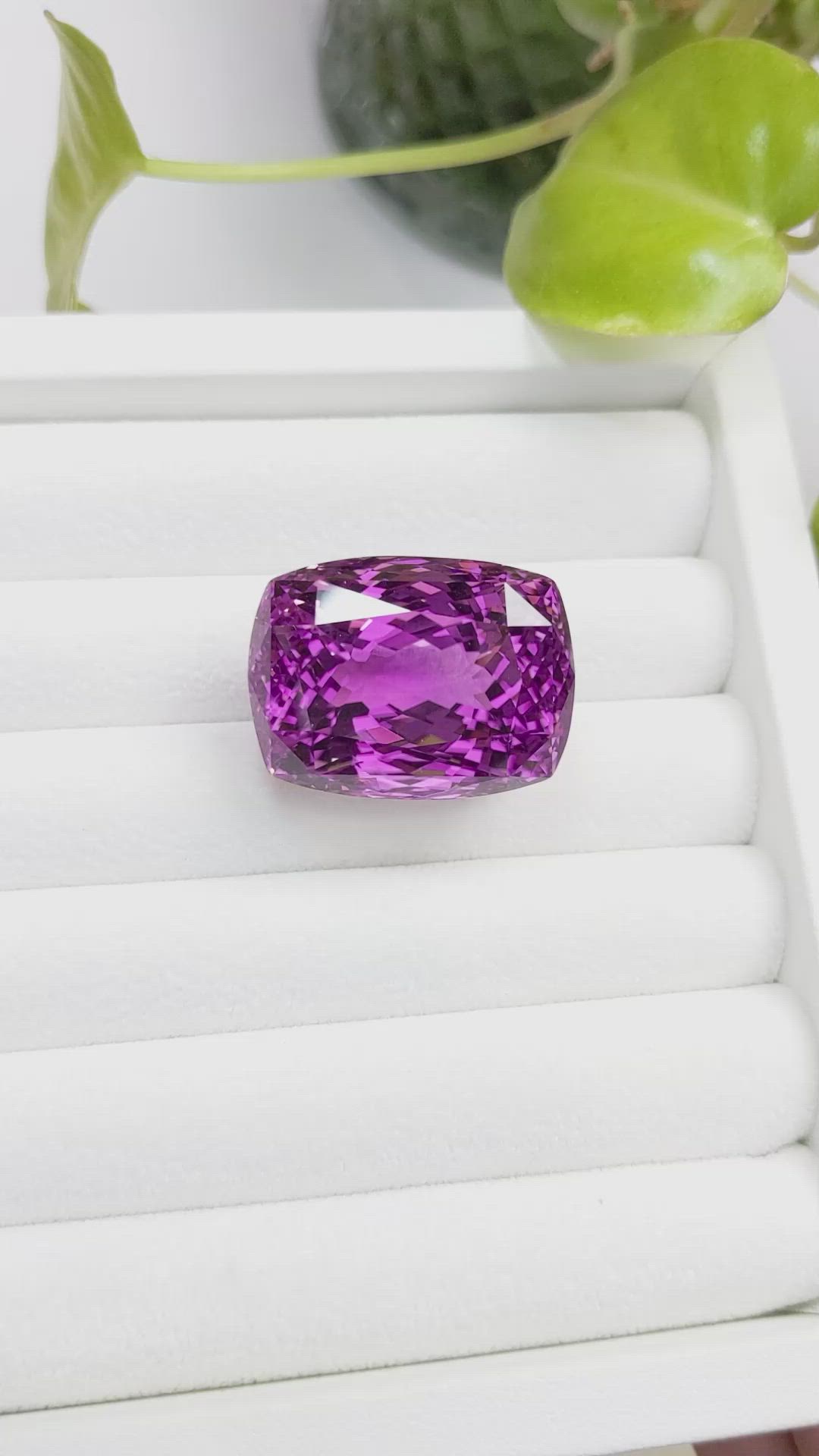 81.62 Ct. Kunzite from Afghanistan Size Video