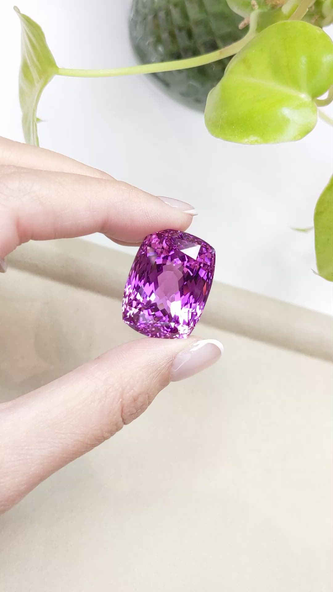 81.62 Ct. Kunzite from Afghanistan Size Video