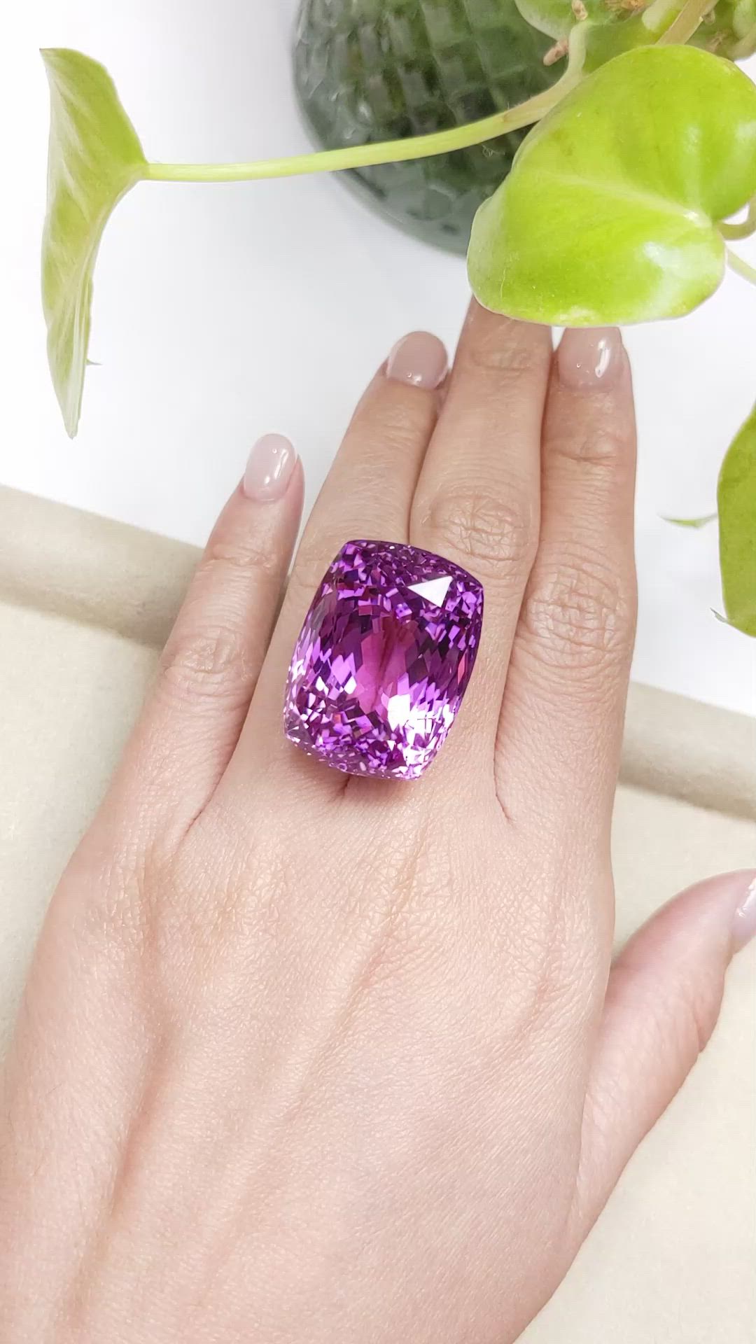 81.62 Ct. Kunzite from Afghanistan Size Video