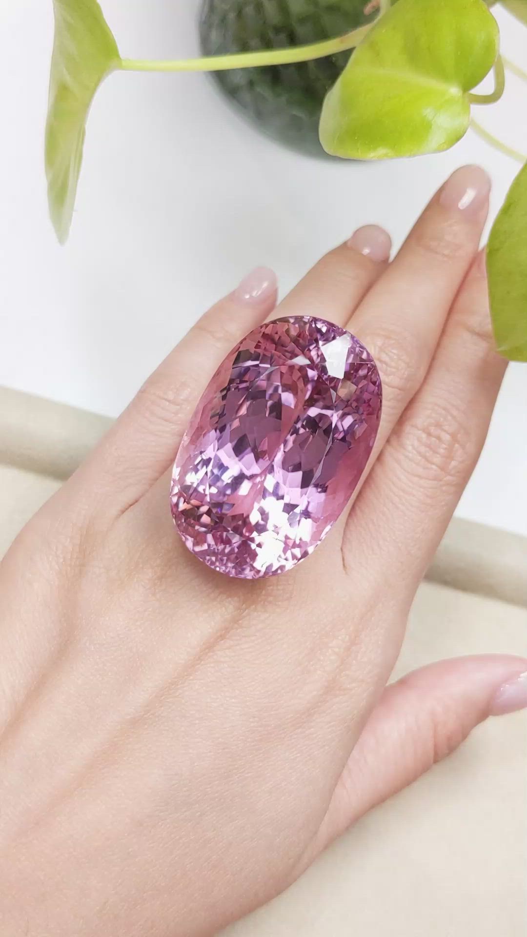 227.09 Ct. Kunzite from Afghanistan Size Video