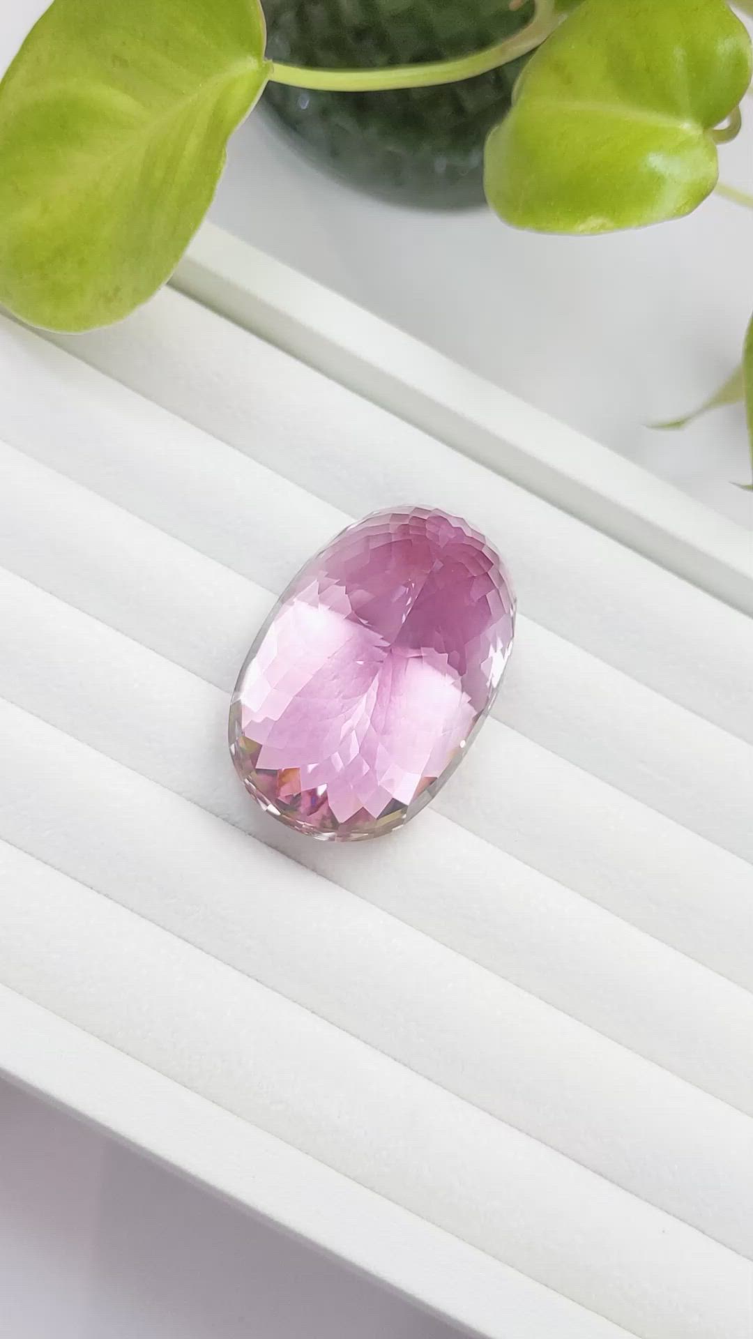 227.09 Ct. Kunzite from Afghanistan Size Video