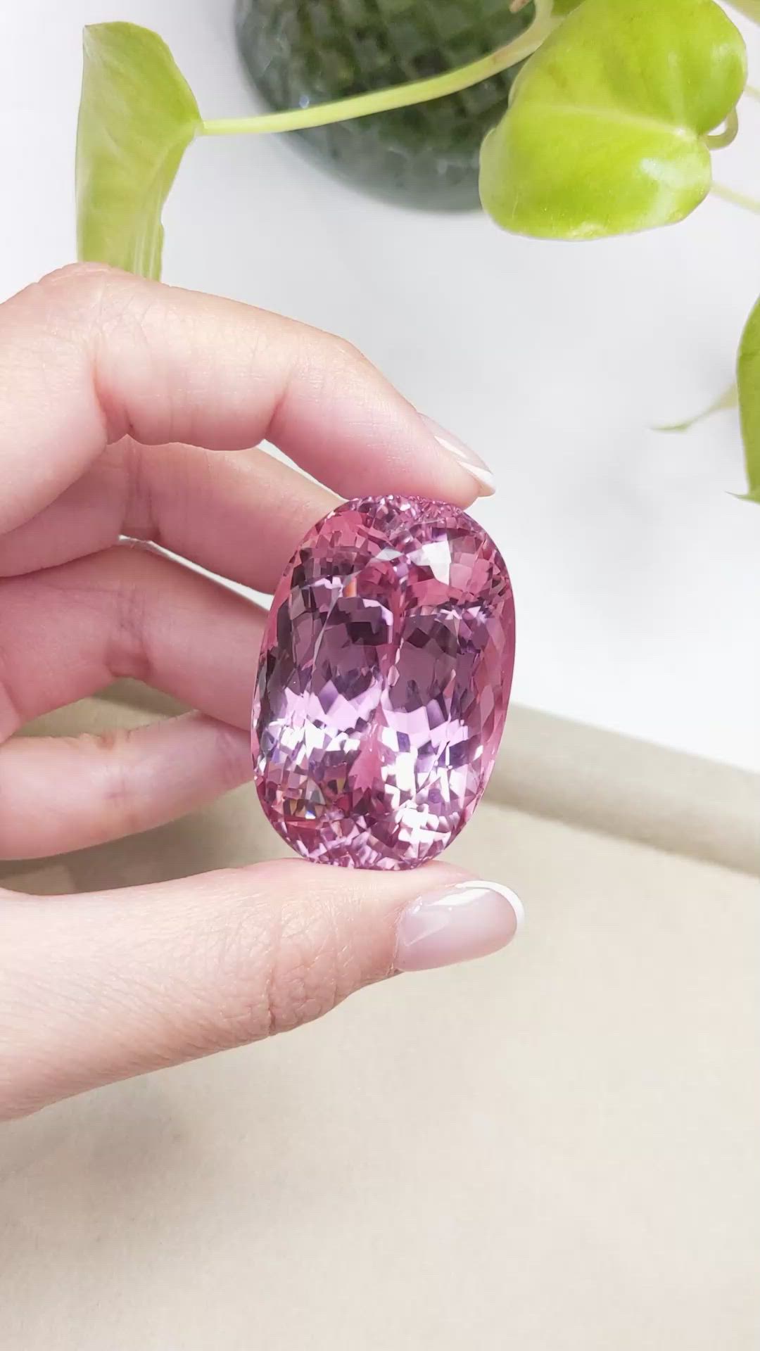 227.09 Ct. Kunzite from Afghanistan Size Video