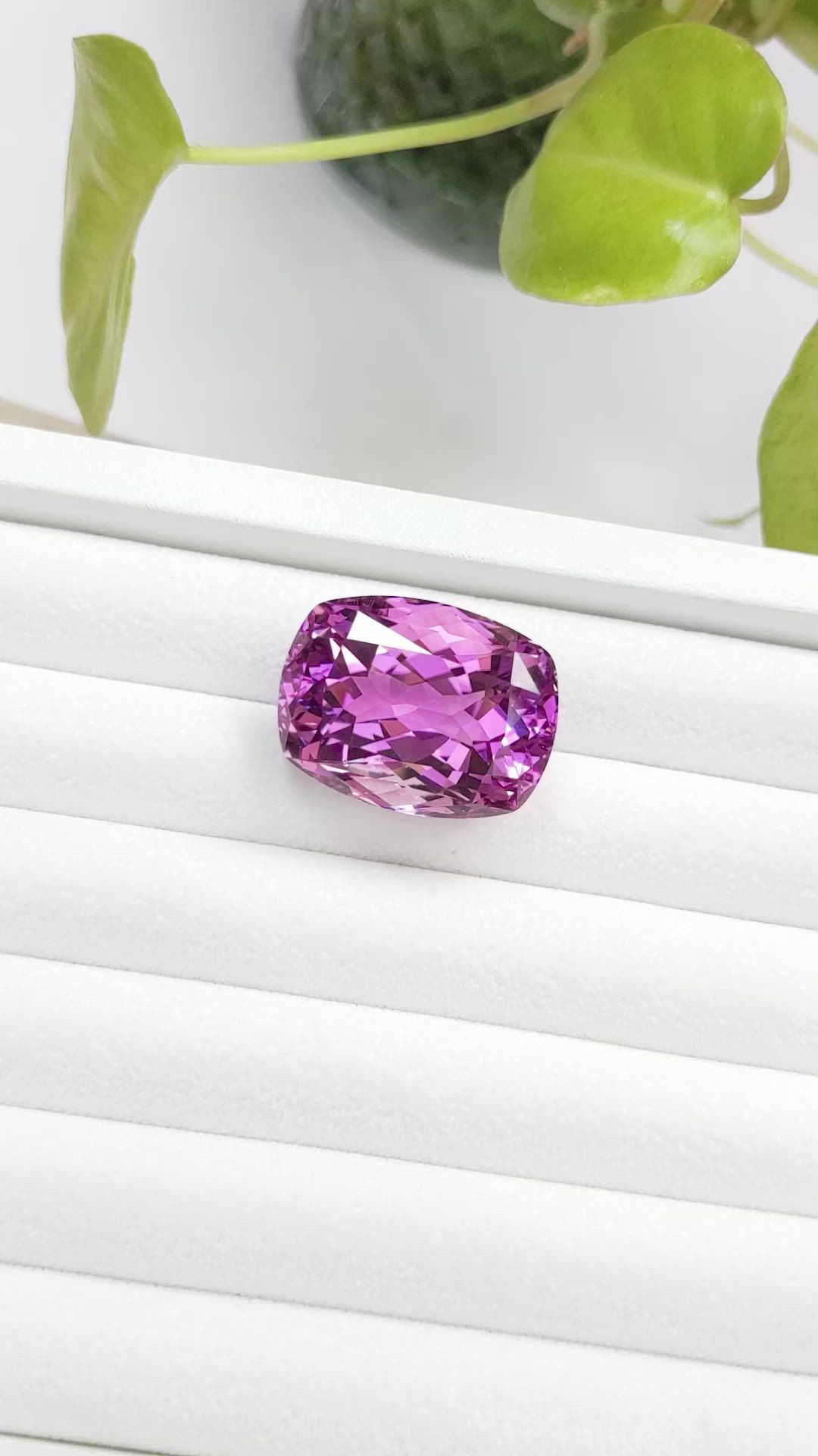 62.78 Ct. Kunzite from Afghanistan Size Video