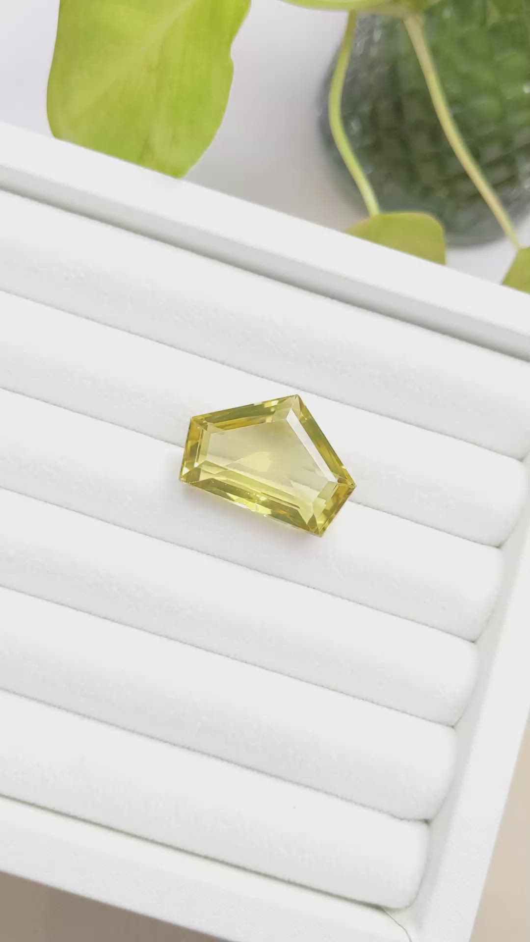 26.19 Ct. Quartz from Brazil Size Video