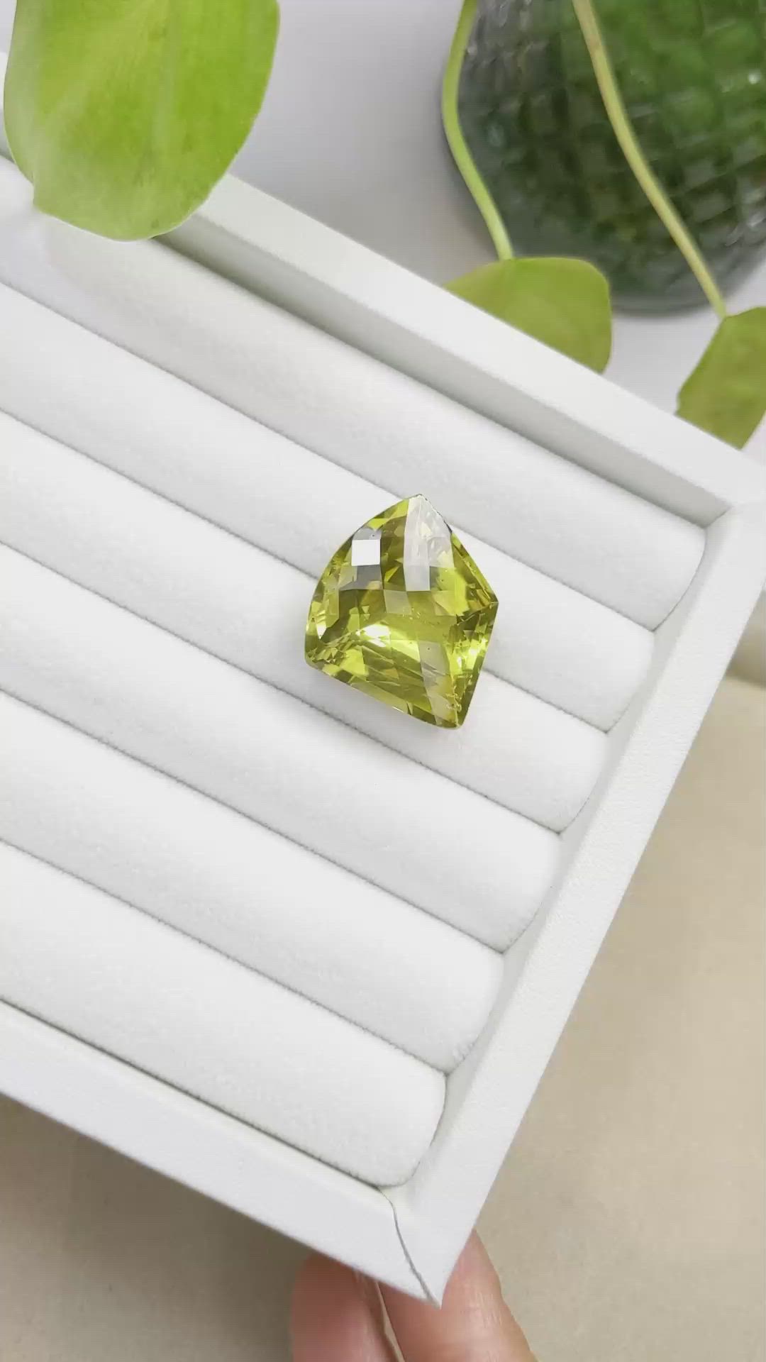 31.71 Ct. Quartz from Brazil Size Video