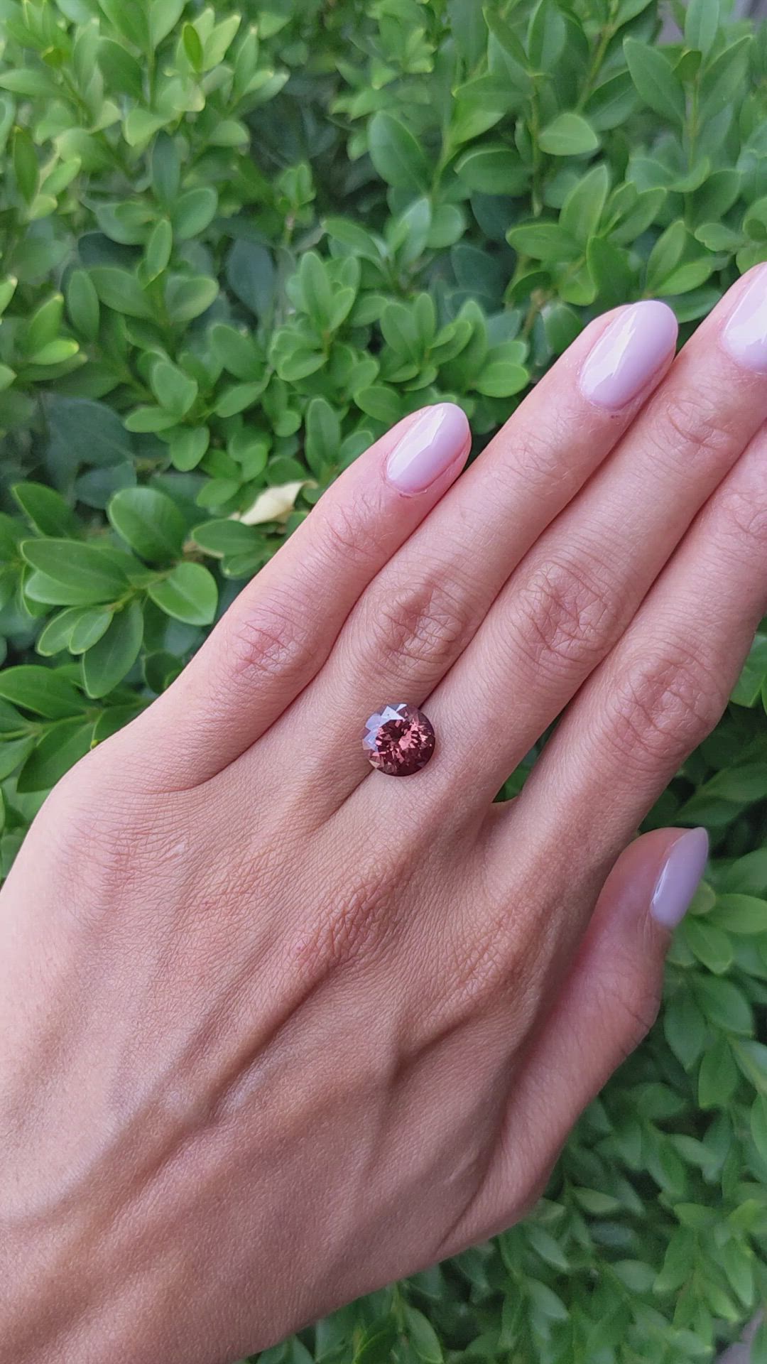 4.09 Ct. Garnet from Ceylon (Sri Lanka) Size Video