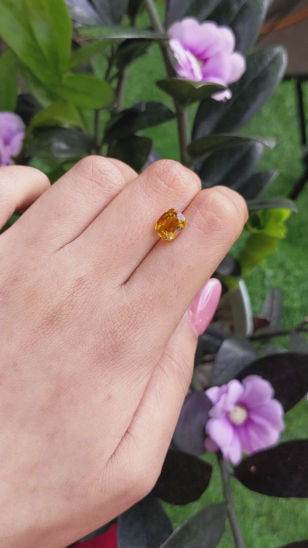 2.93 Ct. Tourmaline from Ceylon (Sri Lanka) Size Video