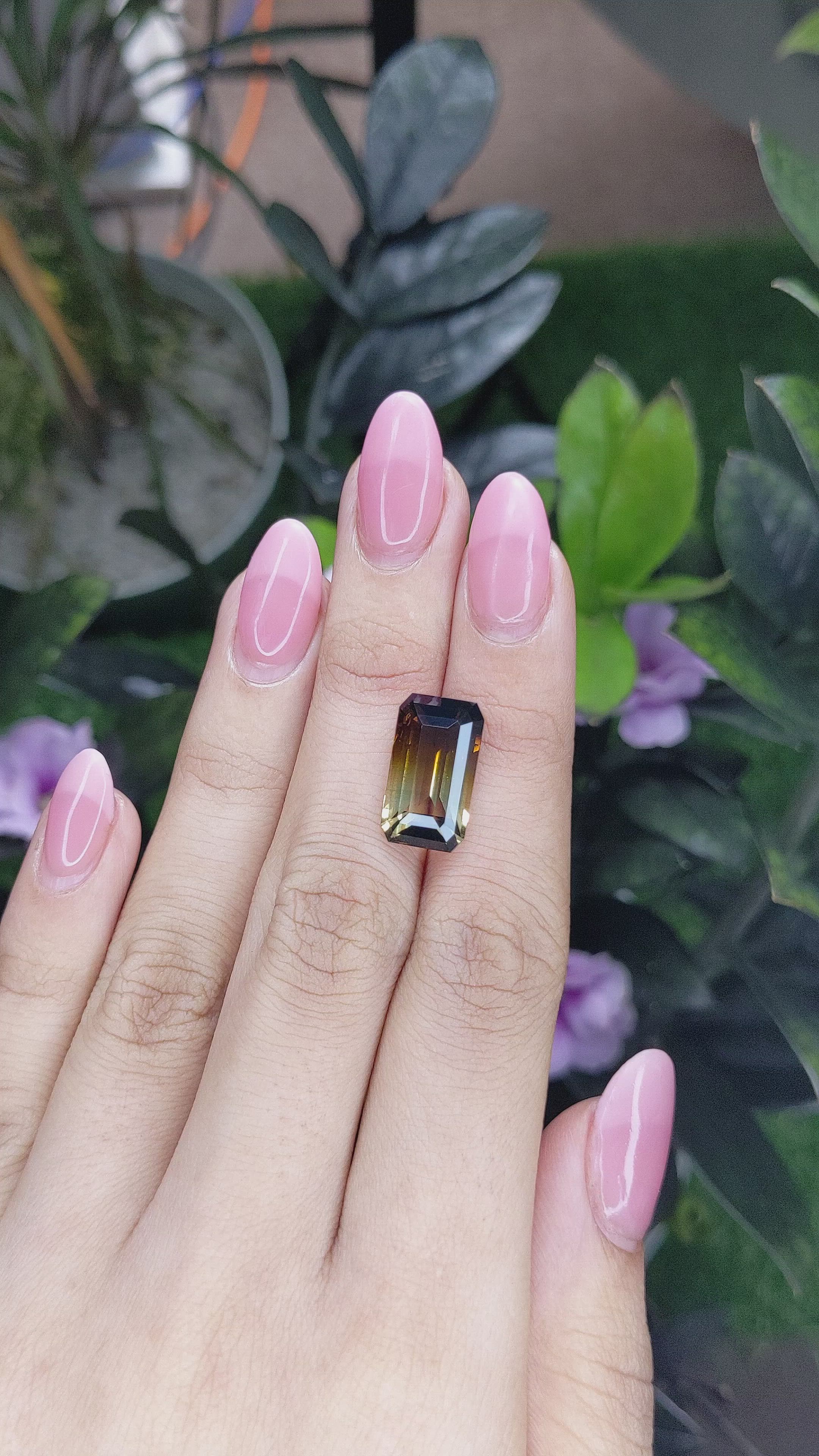 10.00 Ct. Tourmaline from Tanzania Size Video