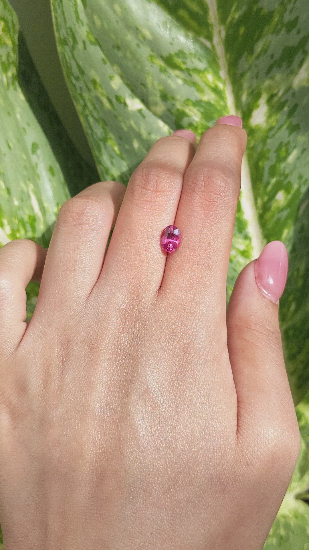 1.42 Ct. Spinel from Tanzania Size Video