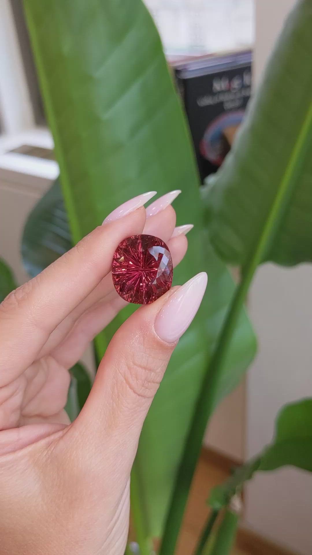 22.49 Ct. Tourmaline from Ceylon (Sri Lanka) Size Video