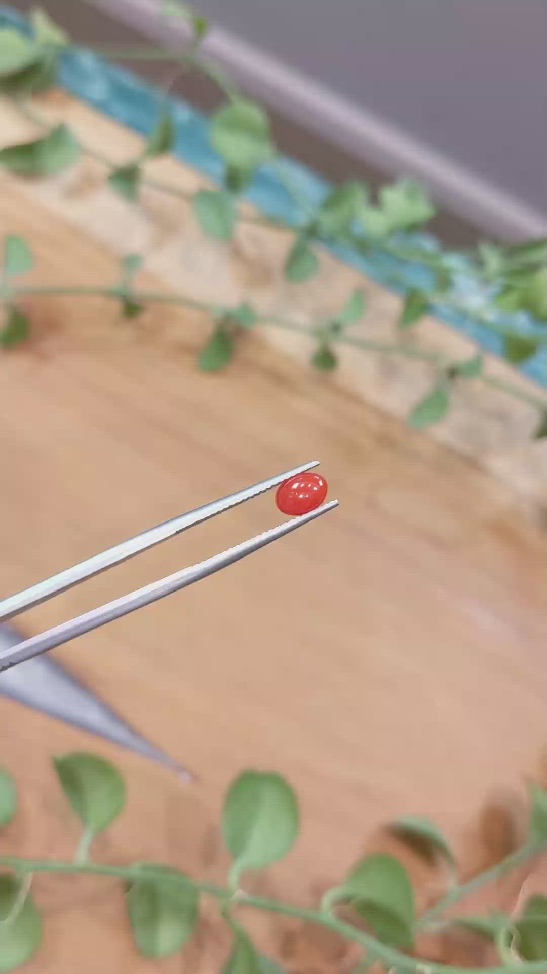 0.85 Ct. Cabochon Coral from Italy Size Video