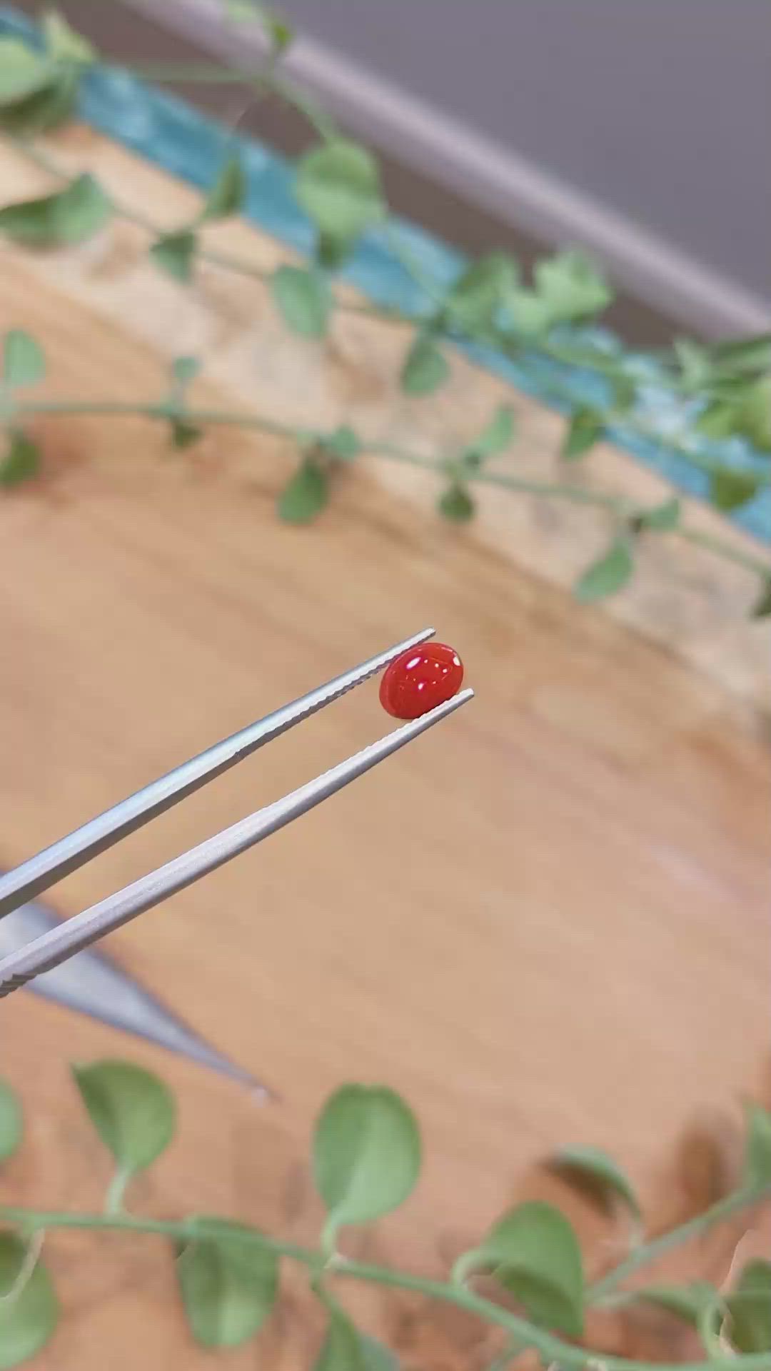 0.76 Ct. Cabochon Coral from Italy Size Video