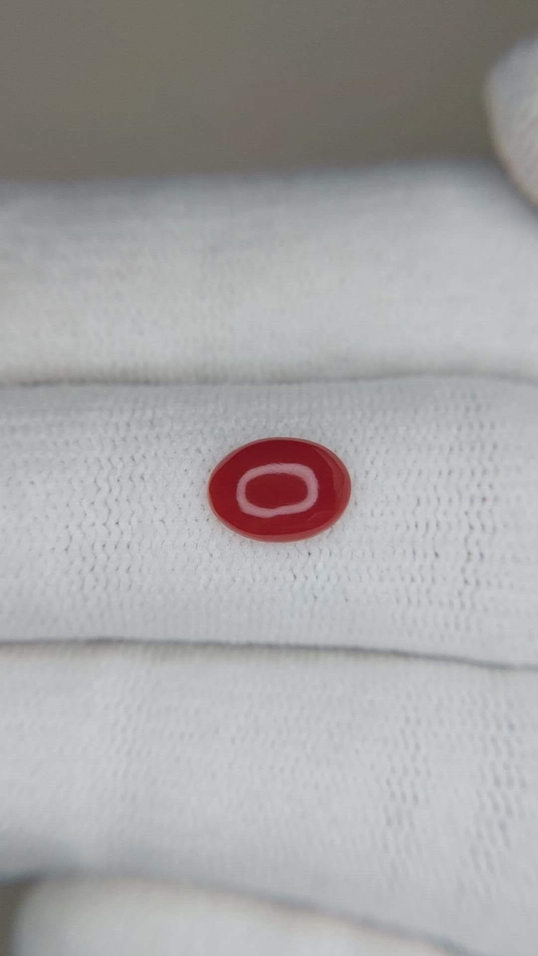 0.76 Ct. Cabochon Coral from Italy Size Video