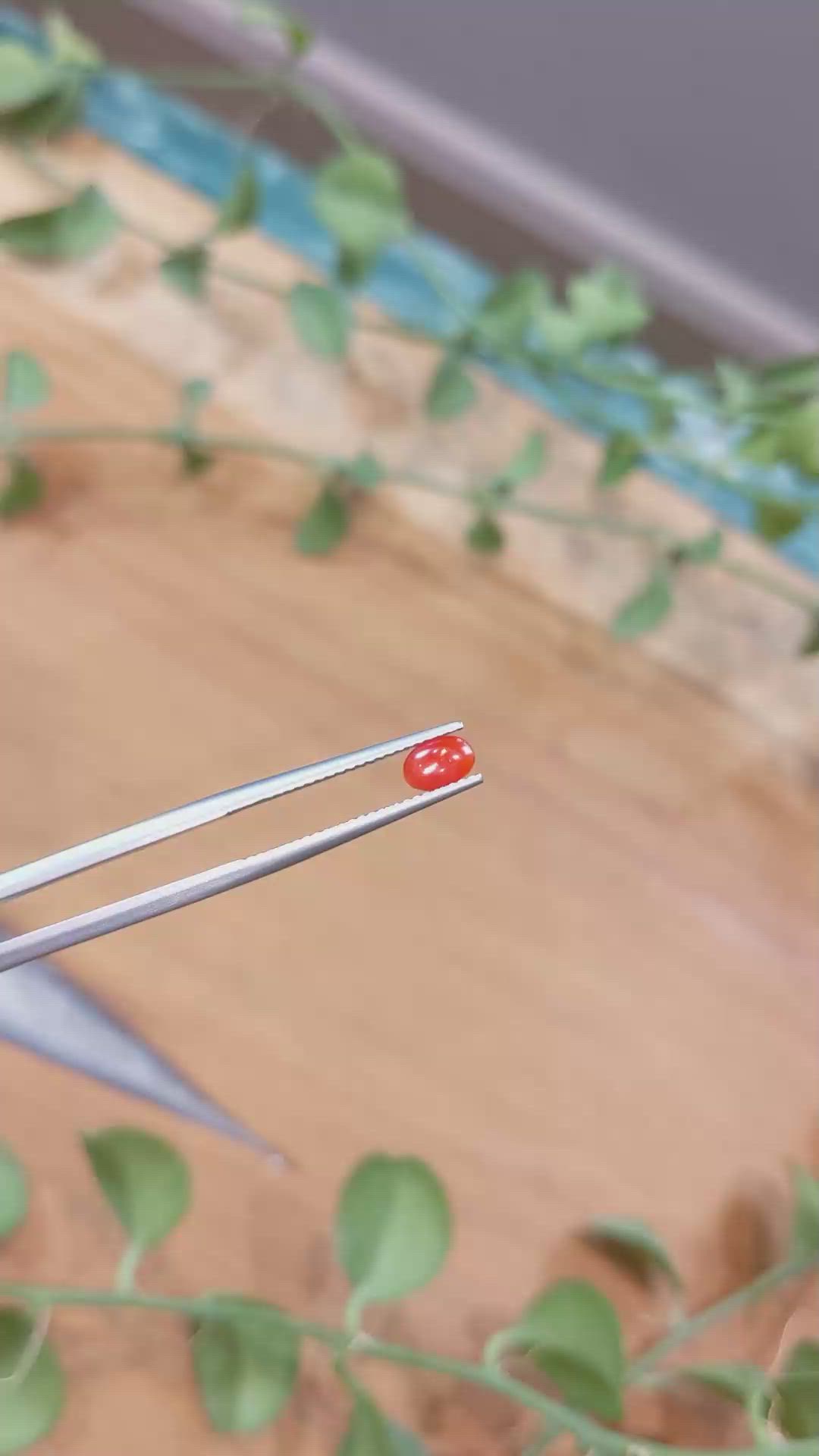 0.34 Ct. Cabochon Coral from Italy Size Video