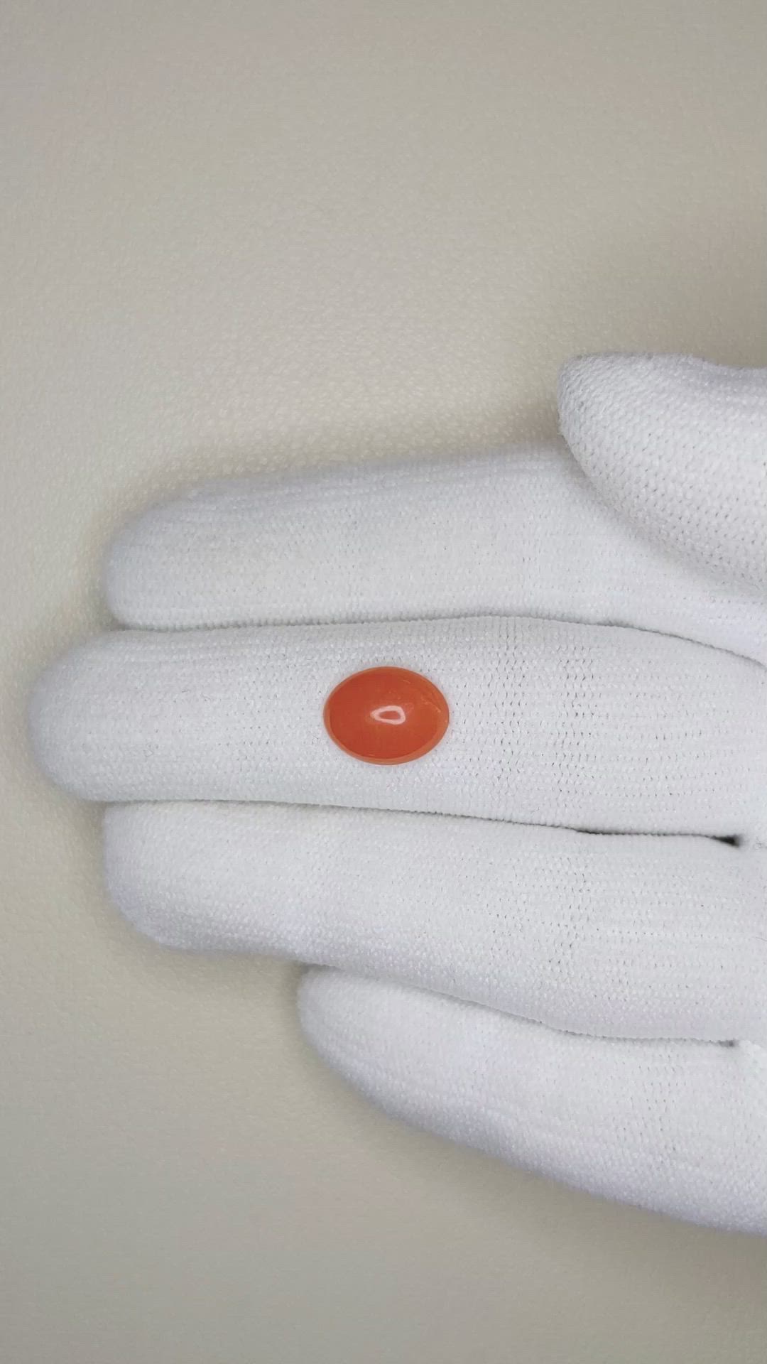 1.64 Ct. Orange Cabochon Coral from Italy Size Video