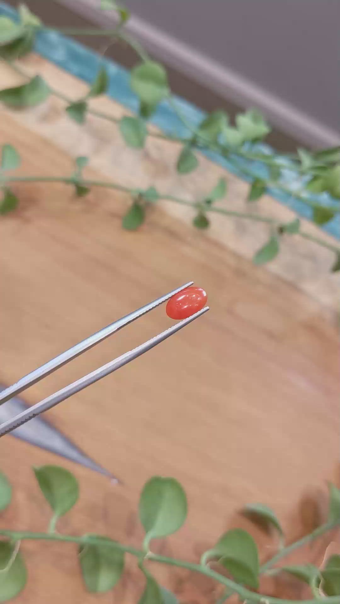 1.11 Ct. Orangish Red Cabochon Coral from Italy Size Video