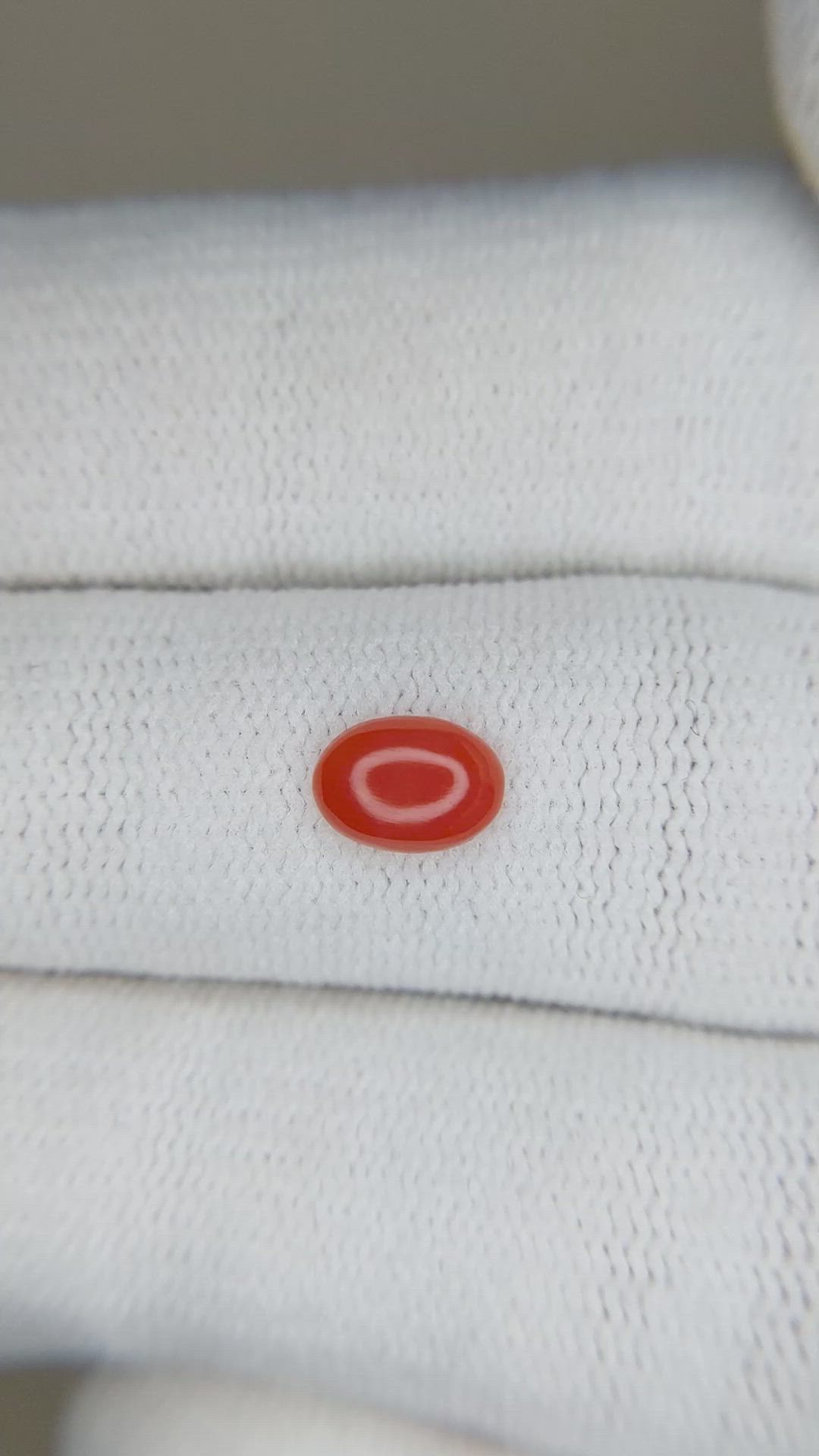 0.49 Ct. Orangish Red Cabochon Coral from Italy Size Video